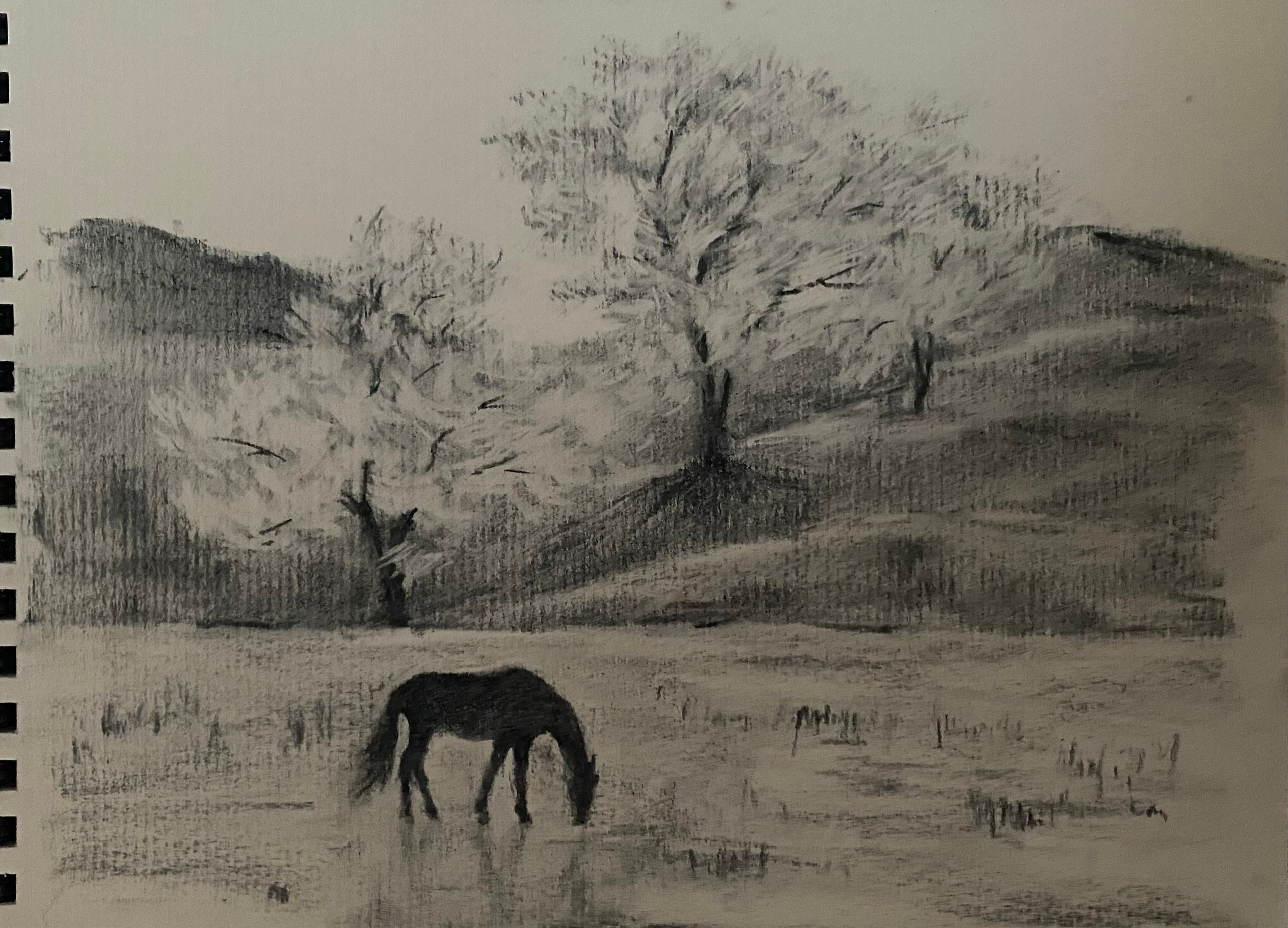 Дагестан. Уголь, 21х29см