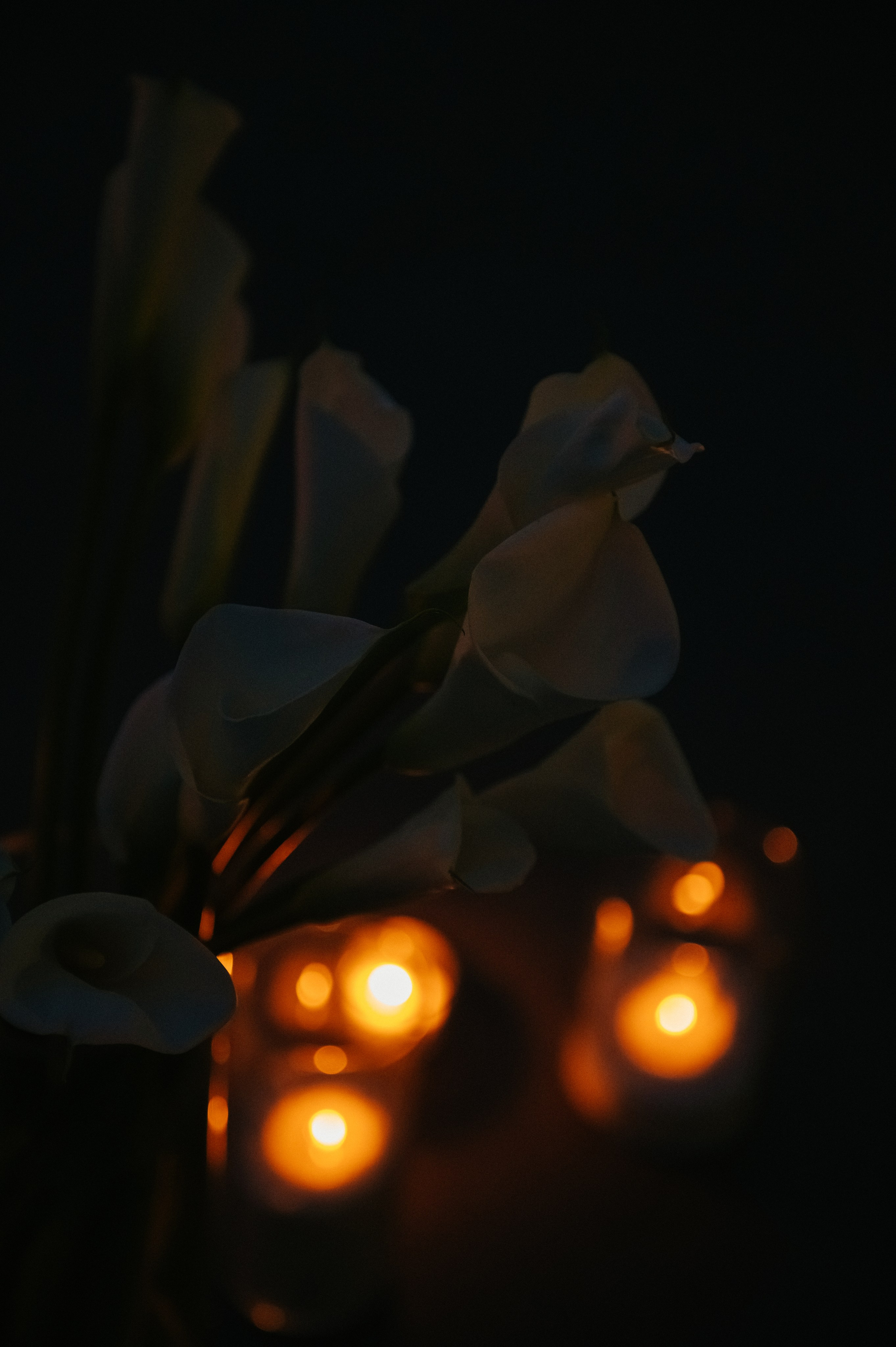 Никита и Анастасия (с.Николаевка). Свадебный, женский, семейный фотограф в Севастополе Юлия Мошенко