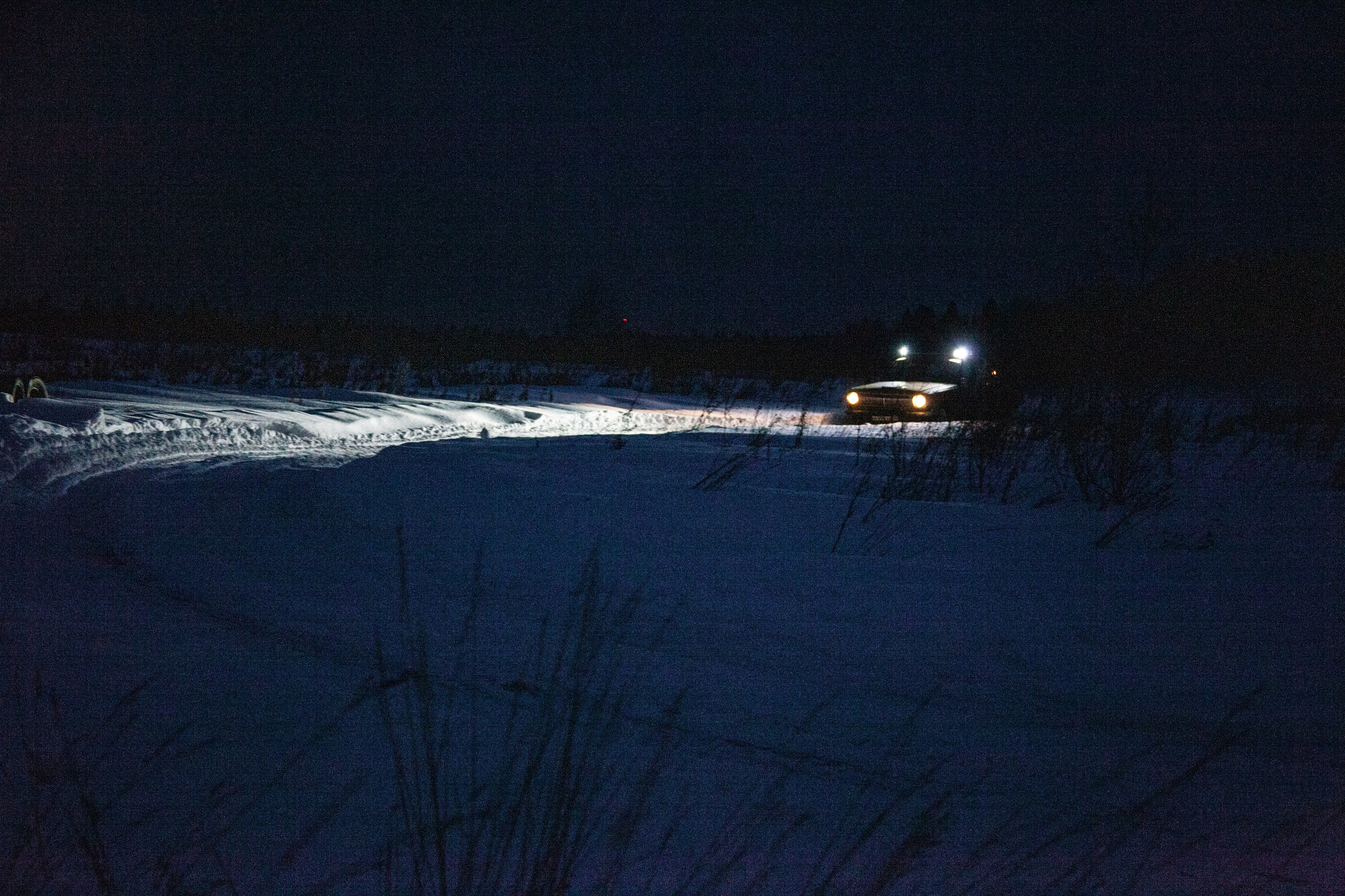 RSE Тропикана 2021. Мультижанровый фотограф в Москве Наталия Степанова