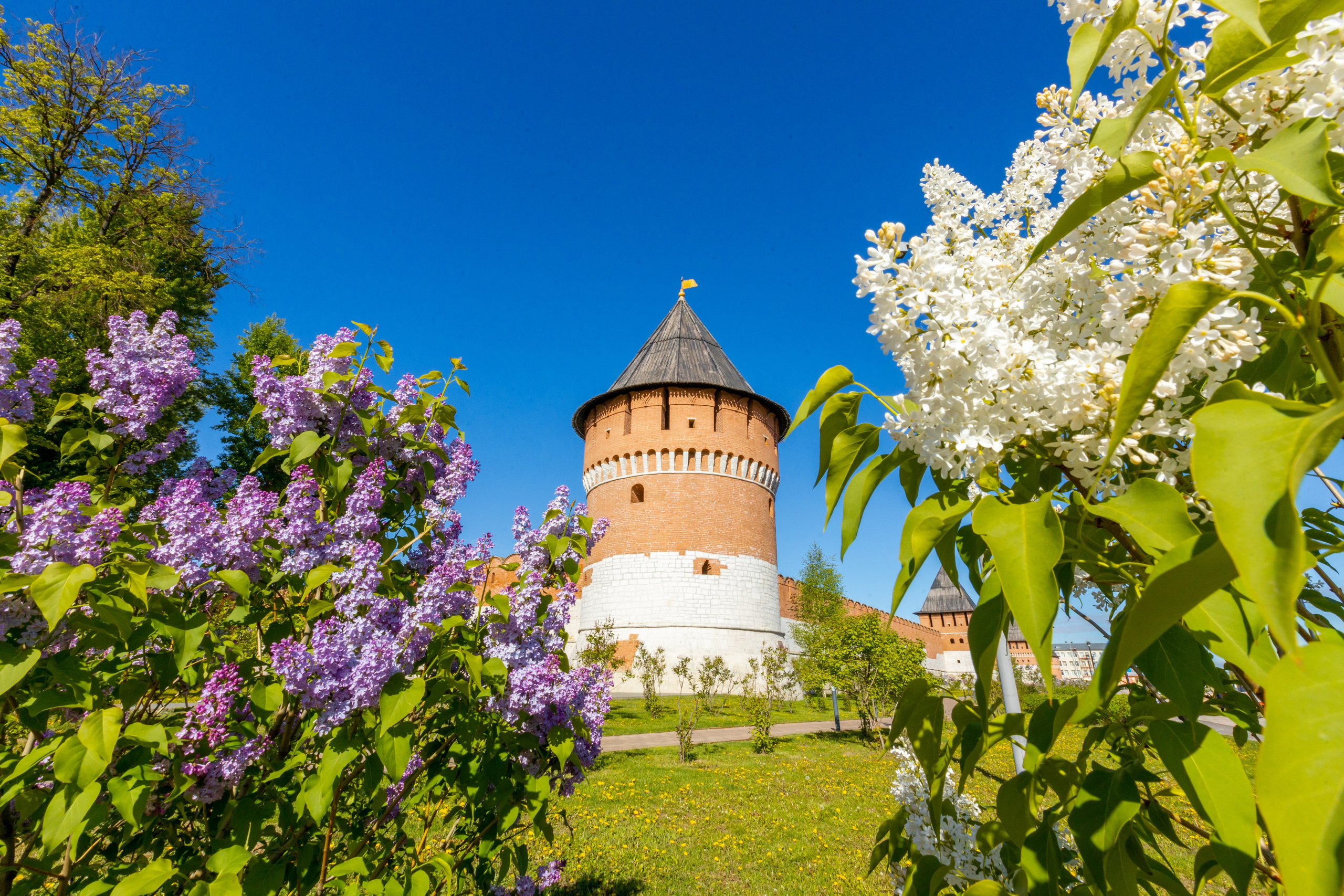 Весеннее цветение в Туле. Фотограф в Туле Крупский АнДРей. Фотостудия «КАДР71» в Туле