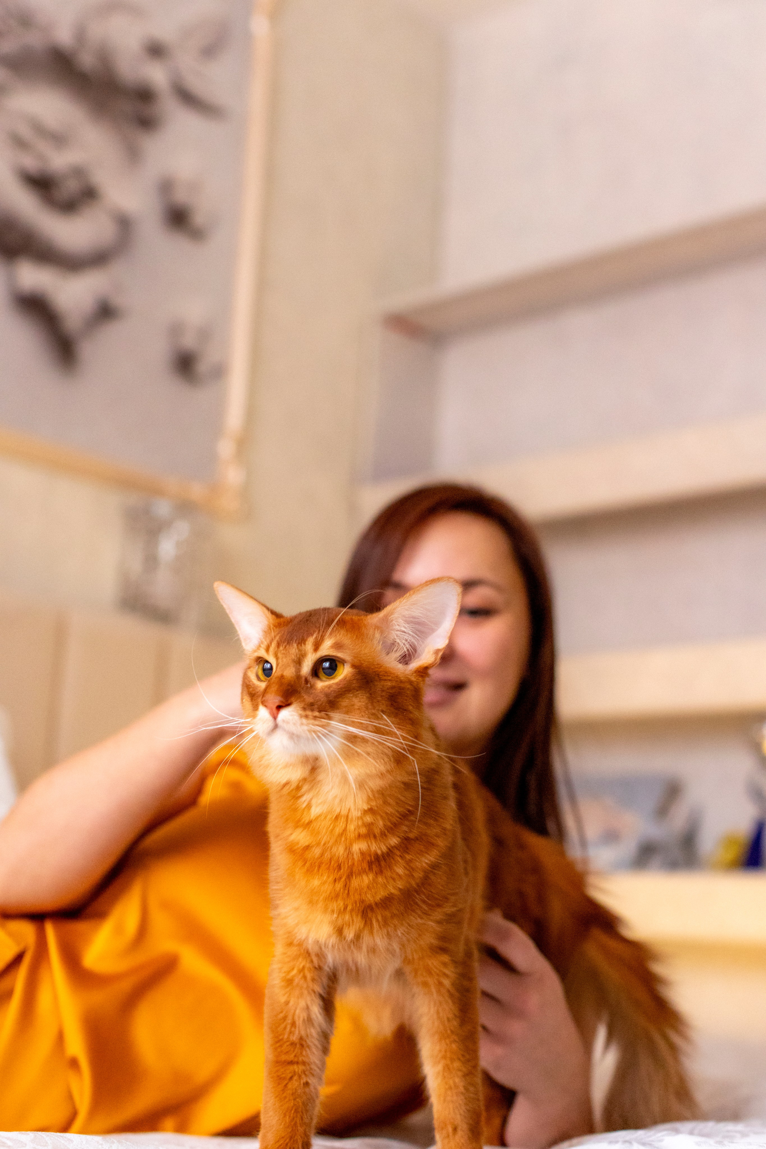 Сомали. Art my Pho