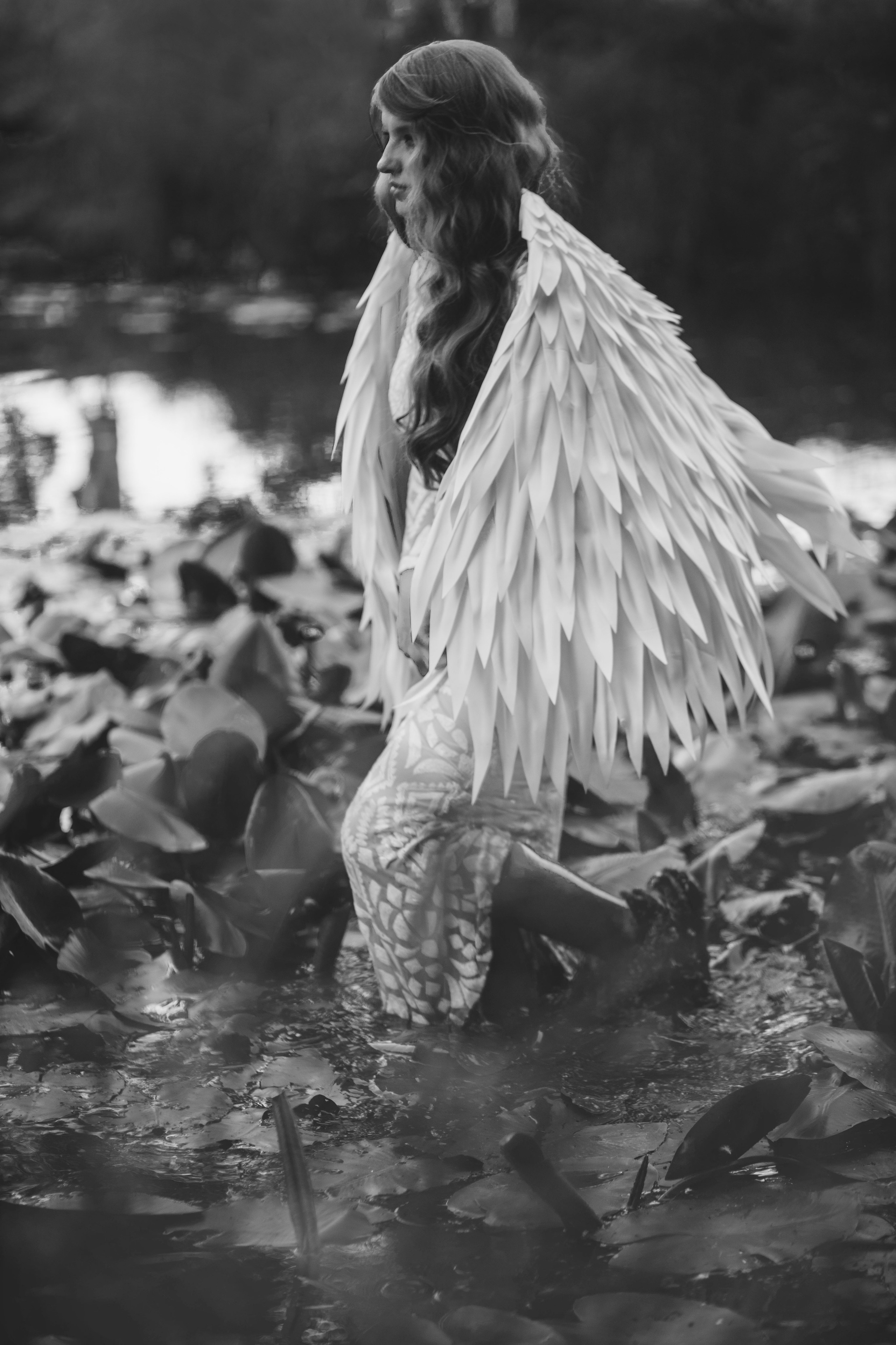 «Water lilies» 2024. Фотограф Наталья Шпиллер Санкт-Петербург