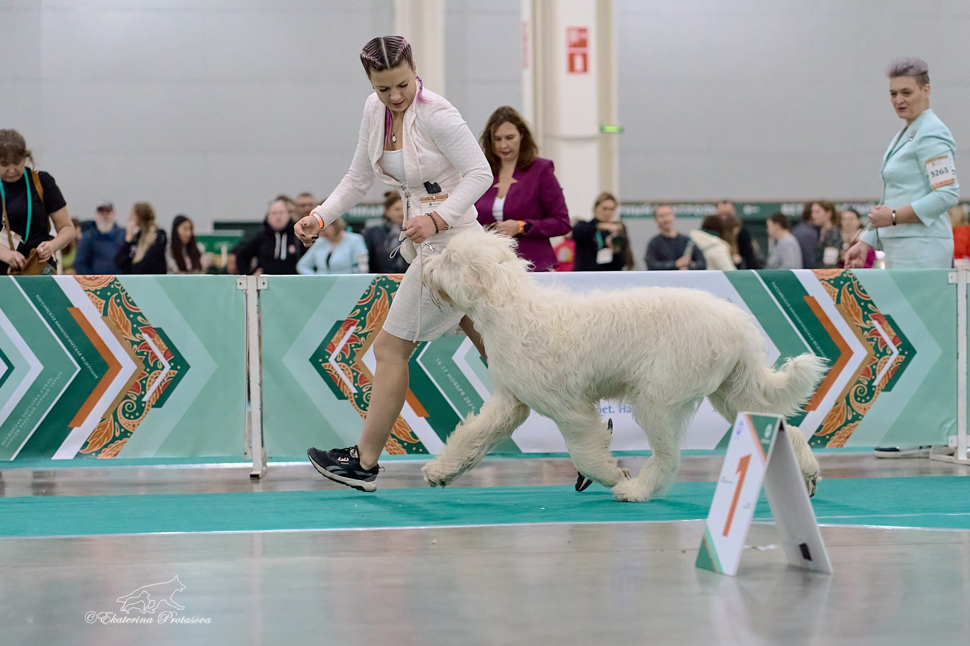 Евразия — 2024. Фотограф-анималист в Иркутске
