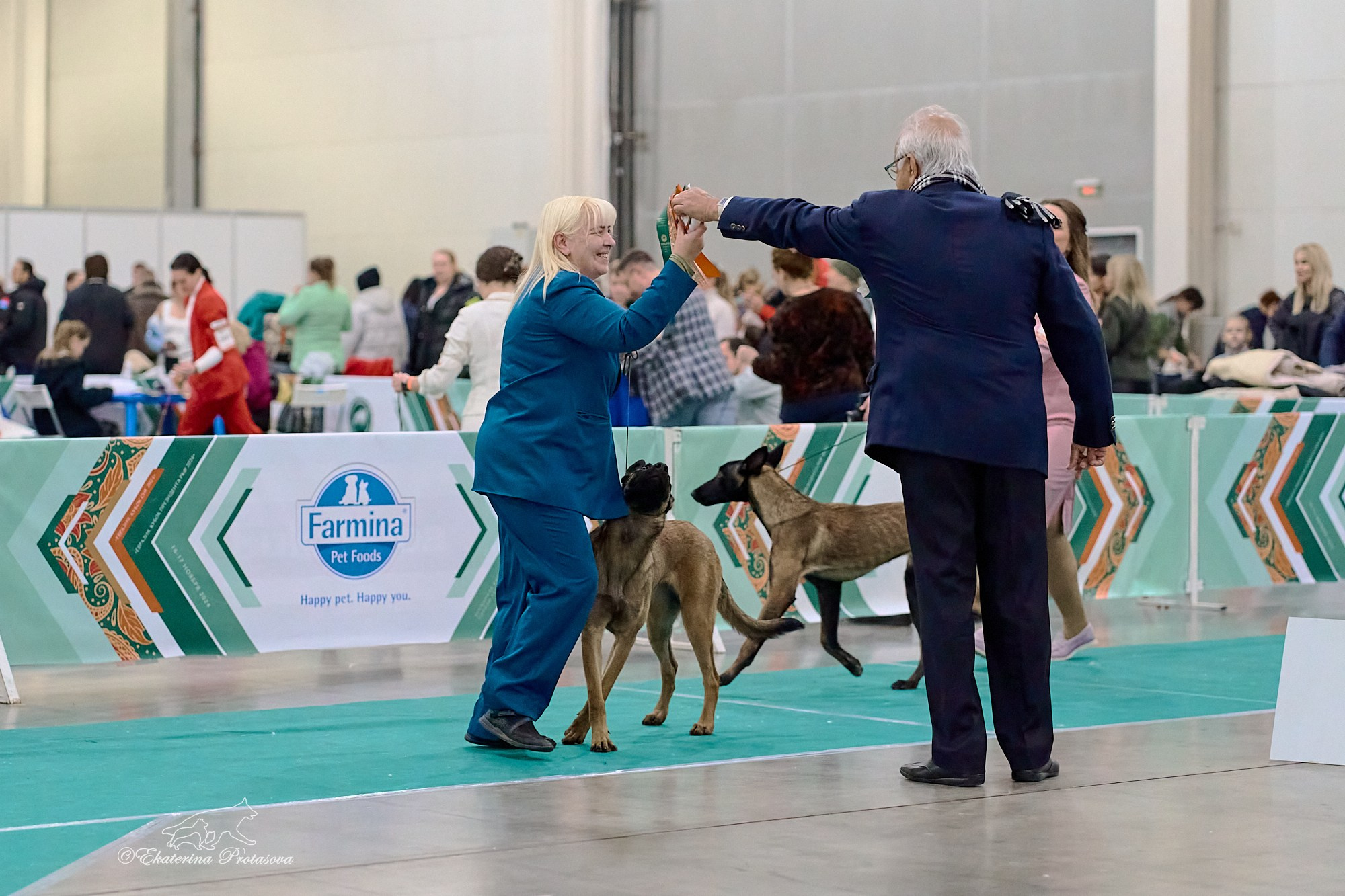 Евразия — 2024. Фотограф-анималист в Иркутске