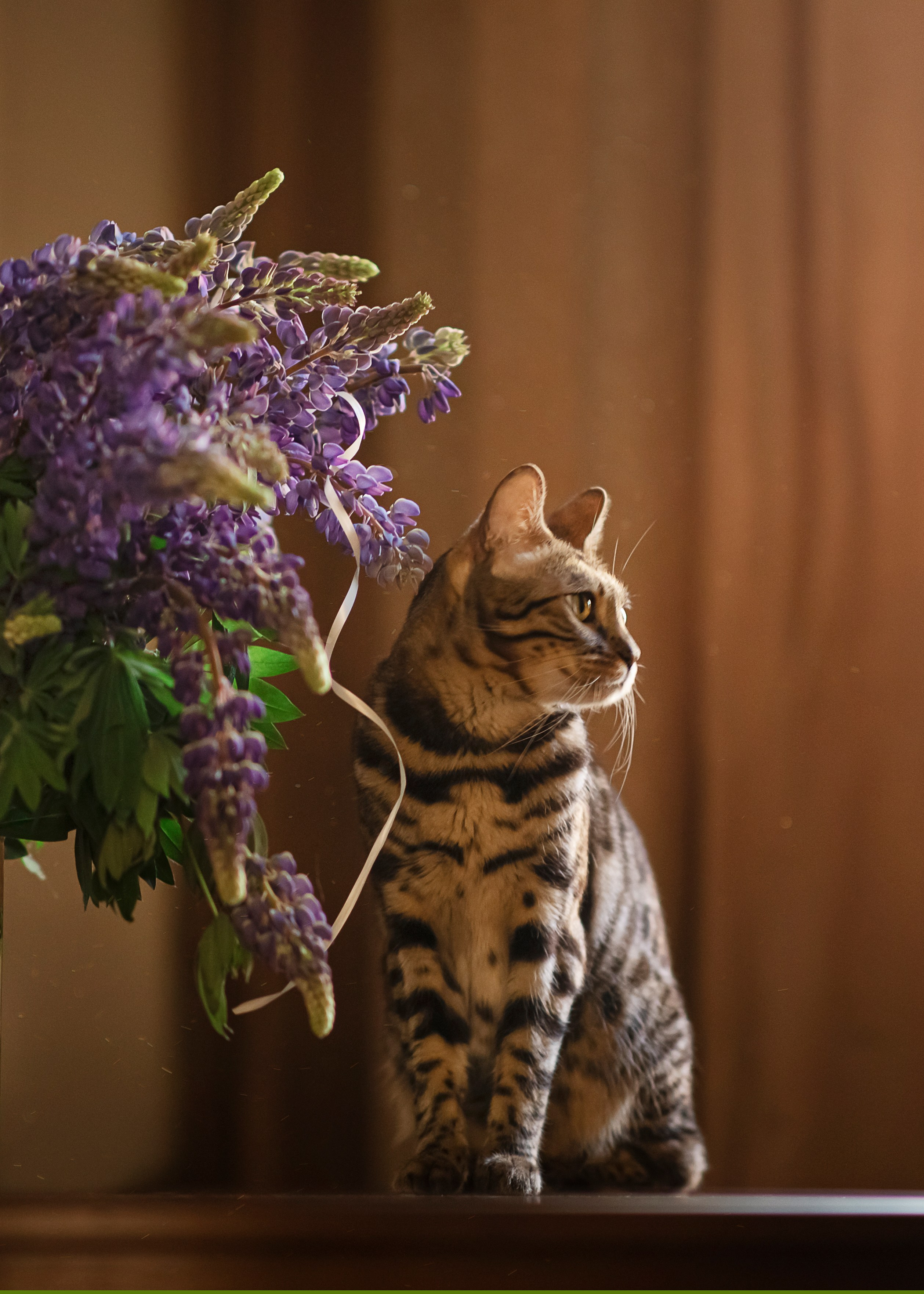 Домашние съемки. Спортивный фотограф в Москве