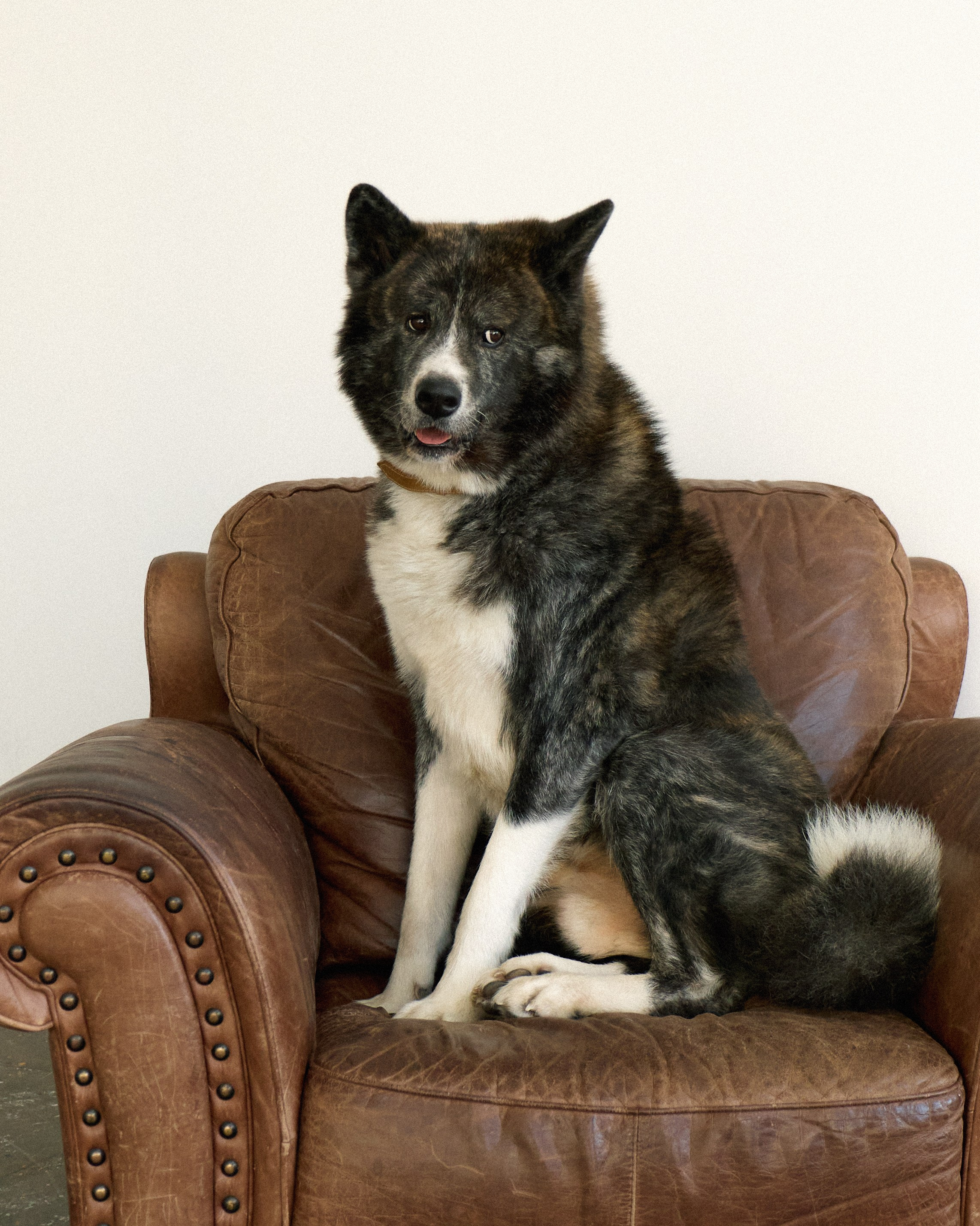К А Т Я. Фотограф беременности и женский фотограф в Москве Оксана Донецкая