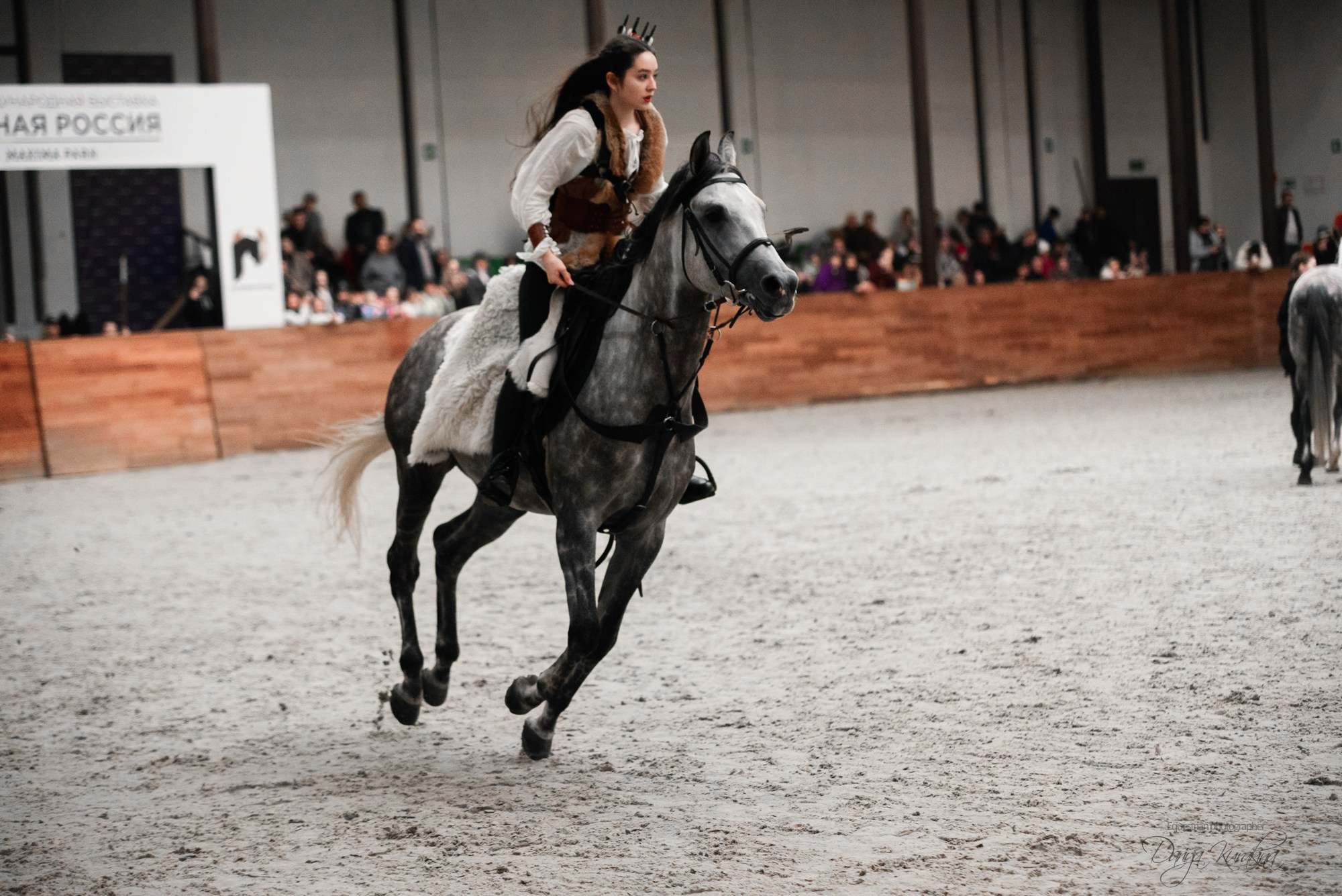 8-я международная выставка Конная Россия. Конный фотограф Куракина Дарья • Фотосессии с лошадьми