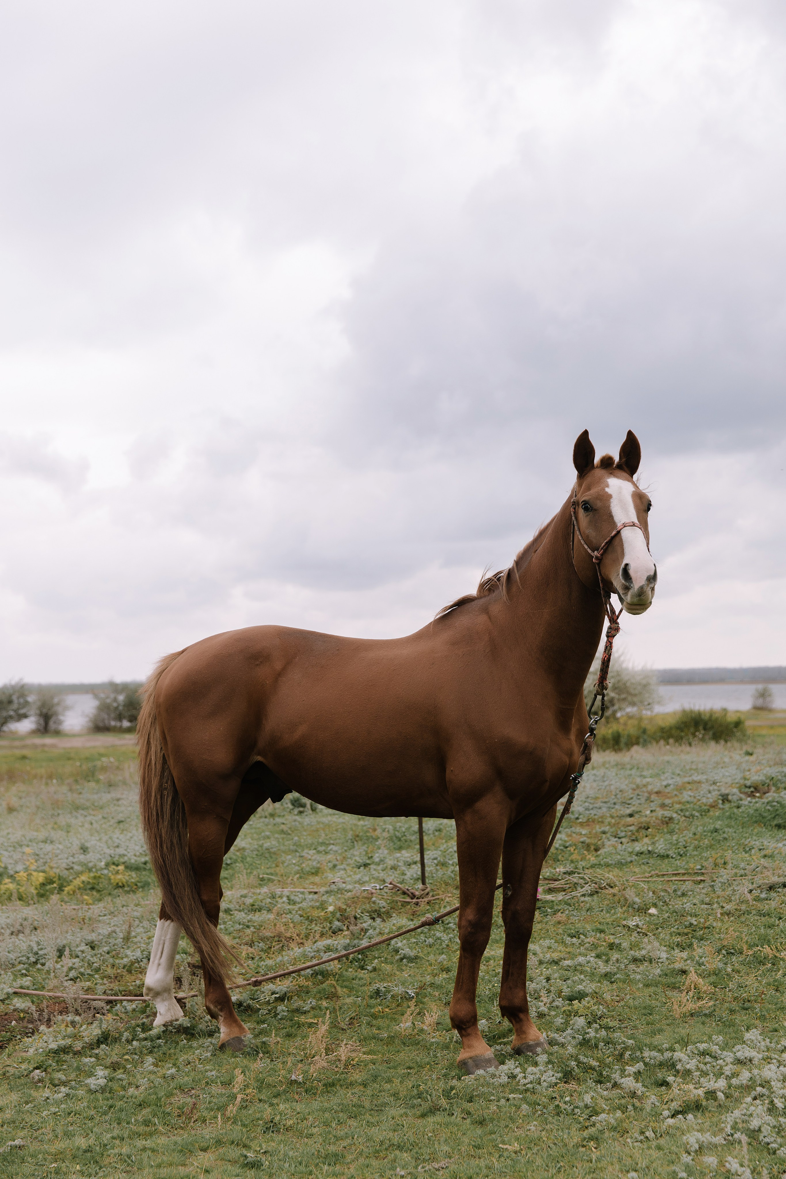 4.10.2023. Свадебный и семейный фотограф Челябинск и Челябинская область