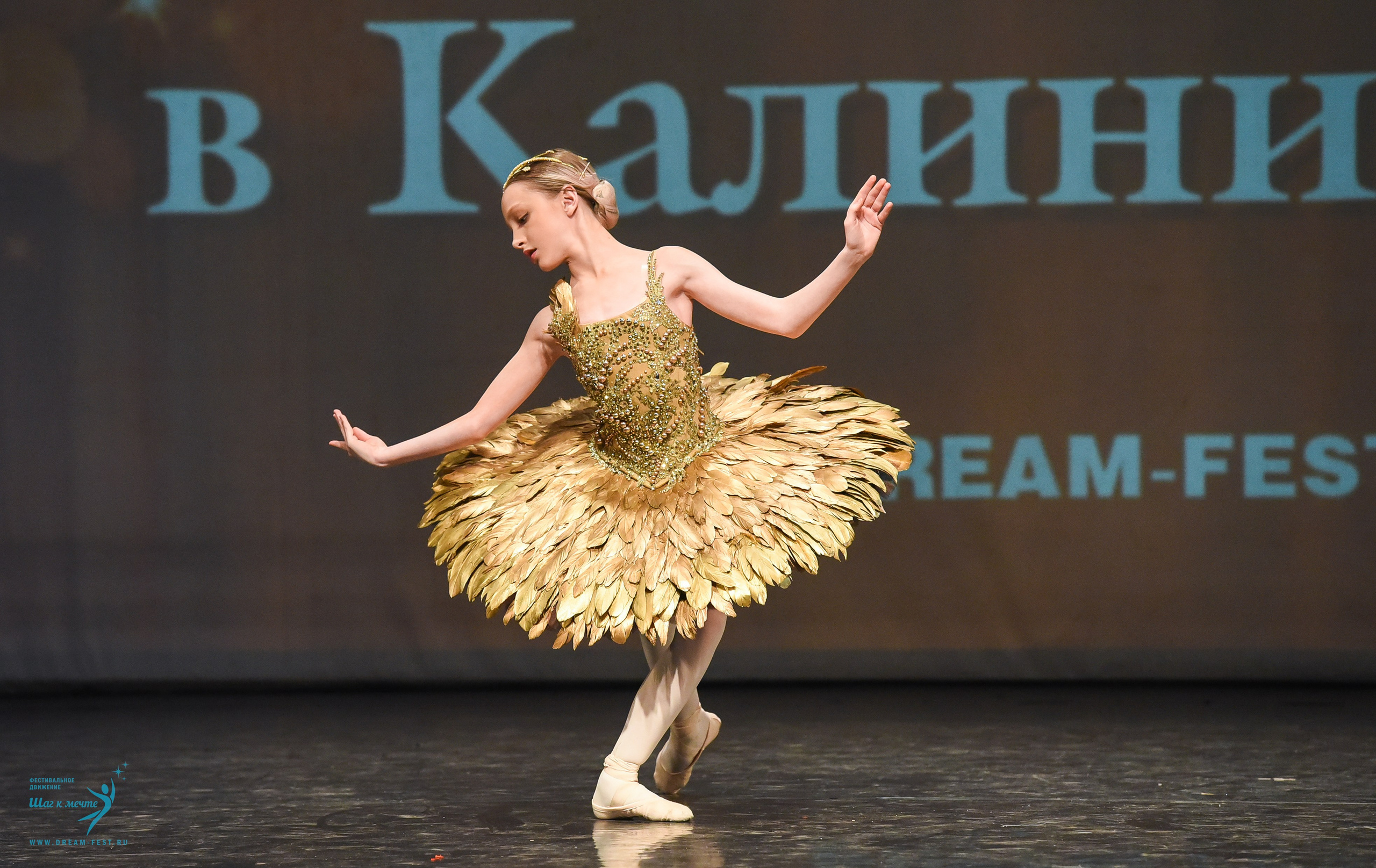 22.03.2025 Фестивальное движение «Шаг к мечте» г. Калининград. Медиастудия Фото Концепт