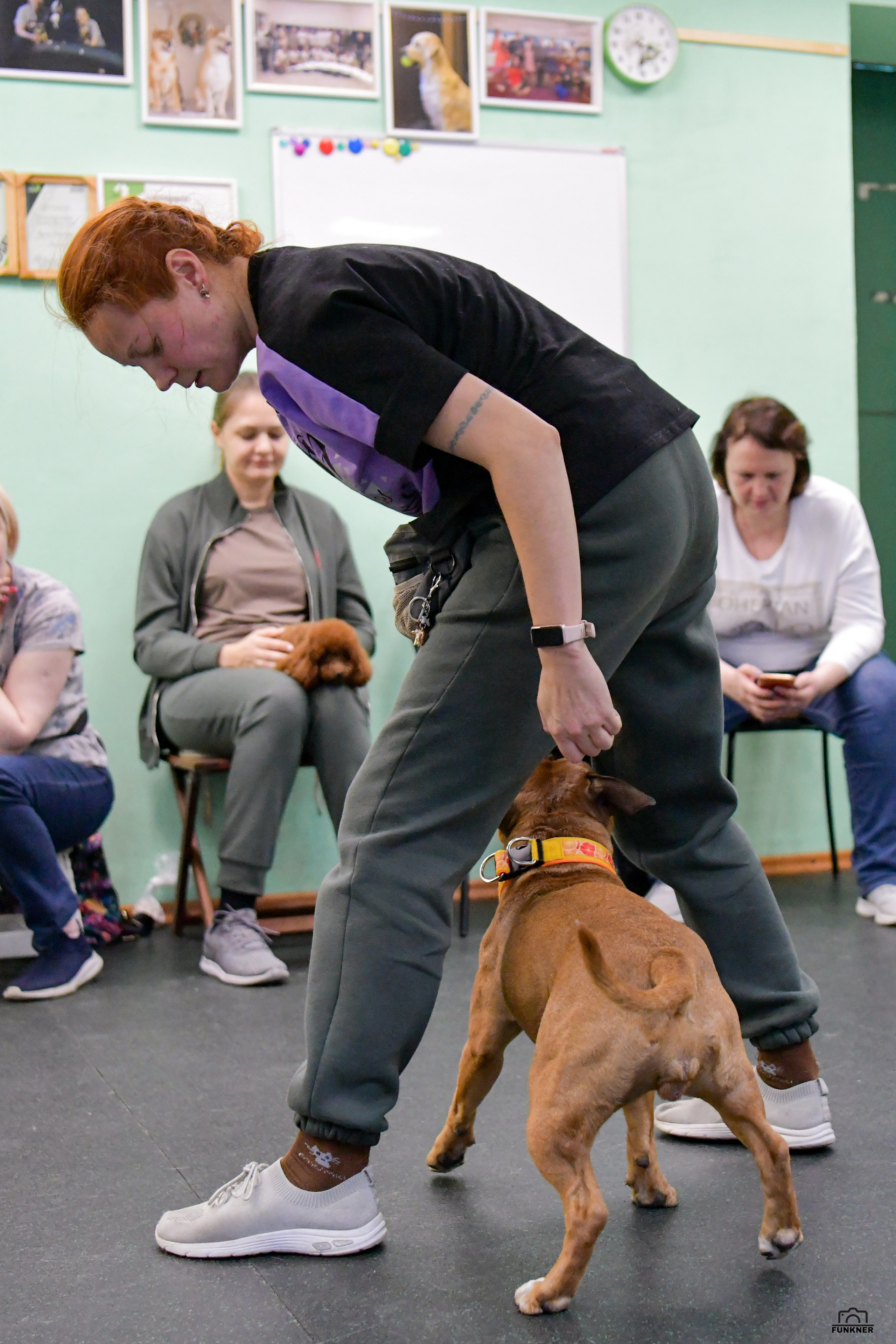 Кинологический клуб «Бодрый хвост». Свой взгляд через объектив