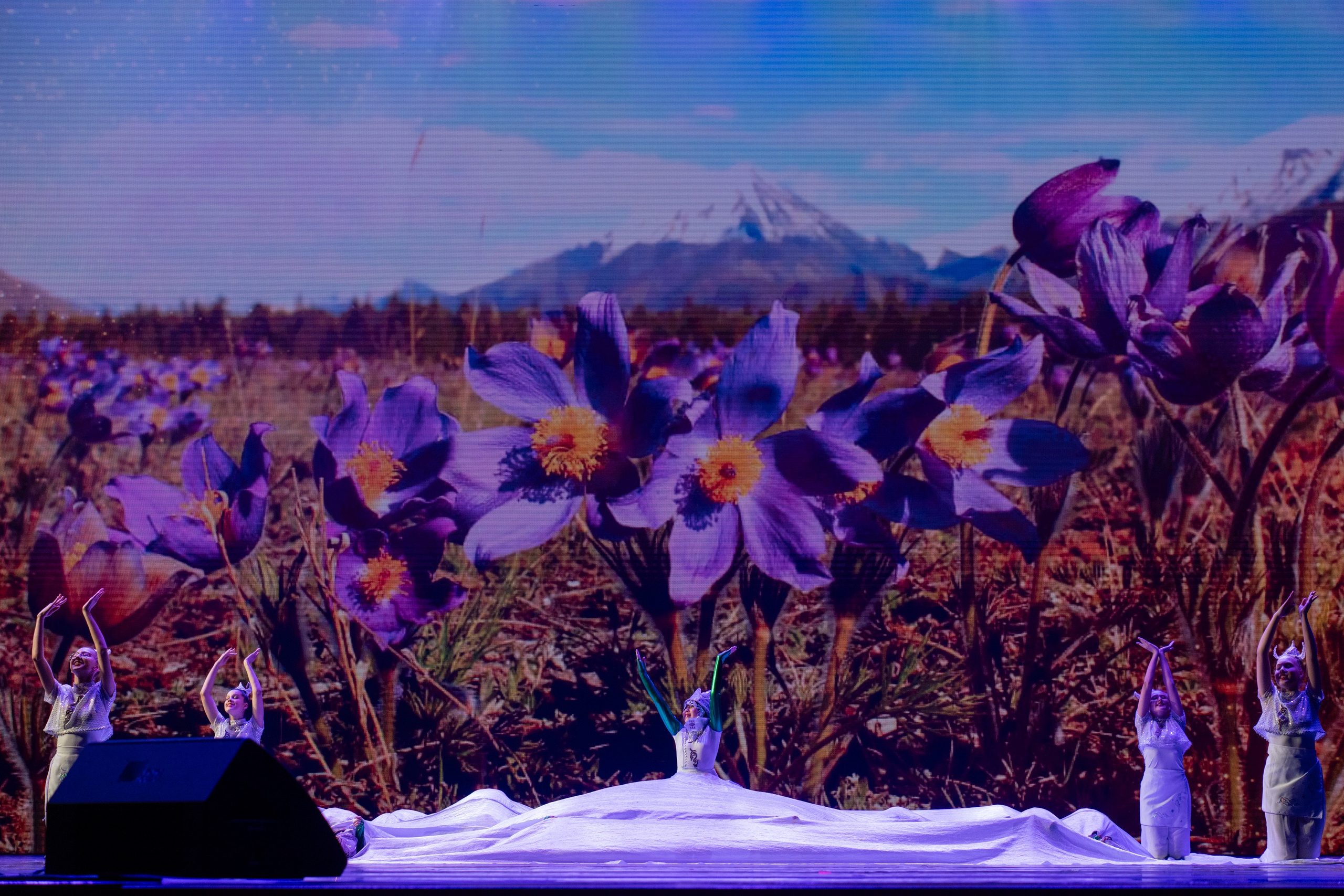 18 мая, г. Москва, Кремль, Концерт. Золотое яблочко