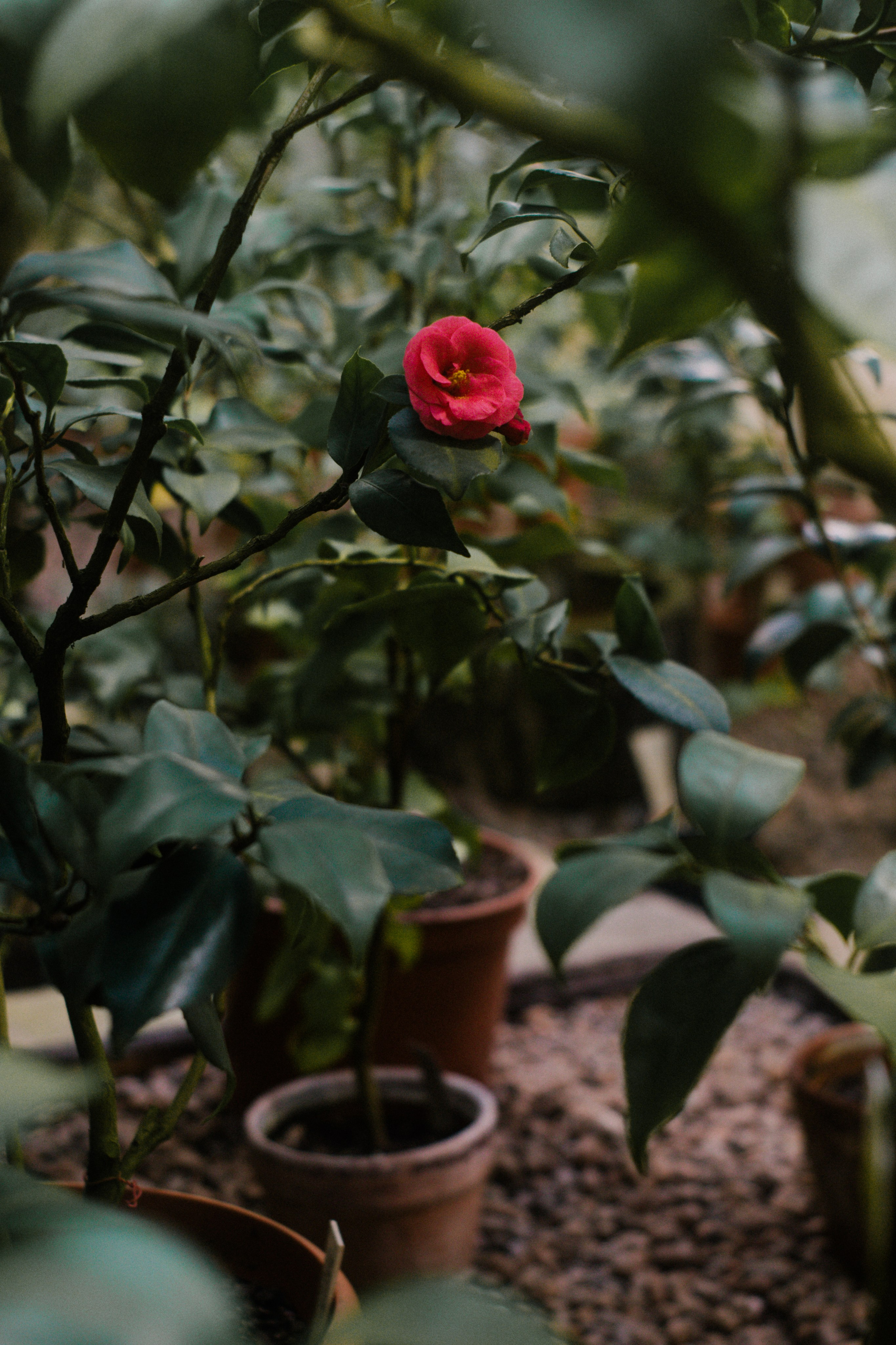 Женский, семейный фотограф в Санкт-Петербурге Катерина Ващенко