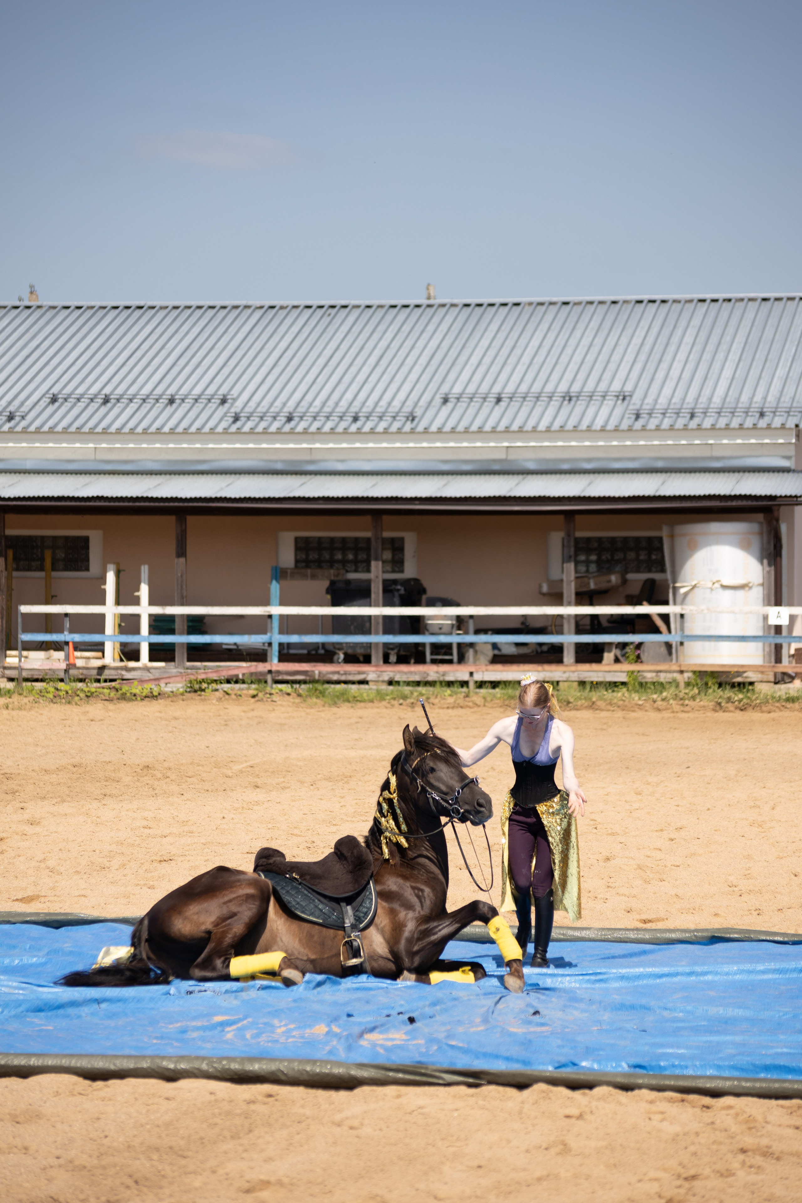 Конюшня. Фотограф в Москве и Истре