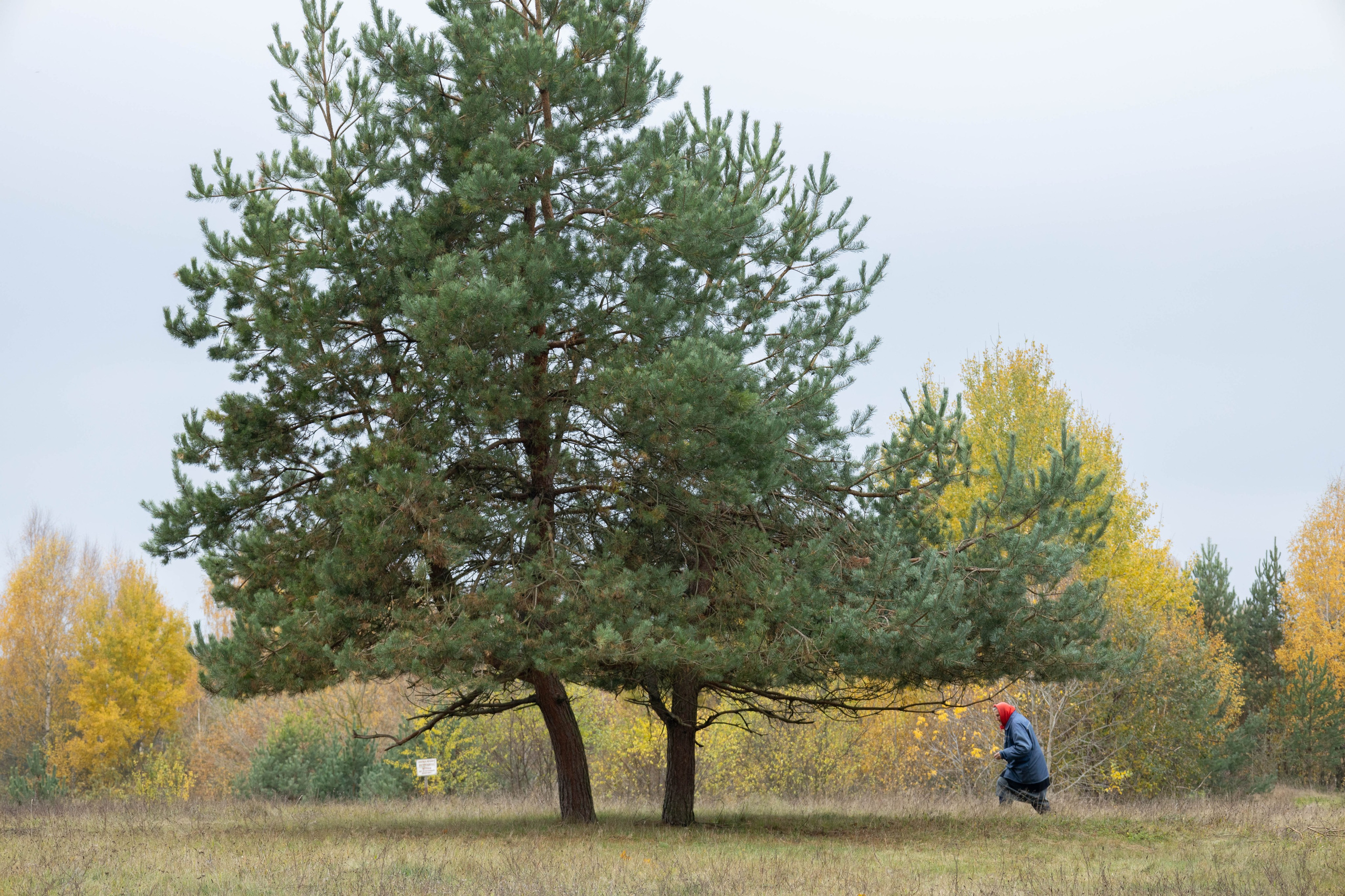 Около меня. Documentary photographer Anton Zdanovich