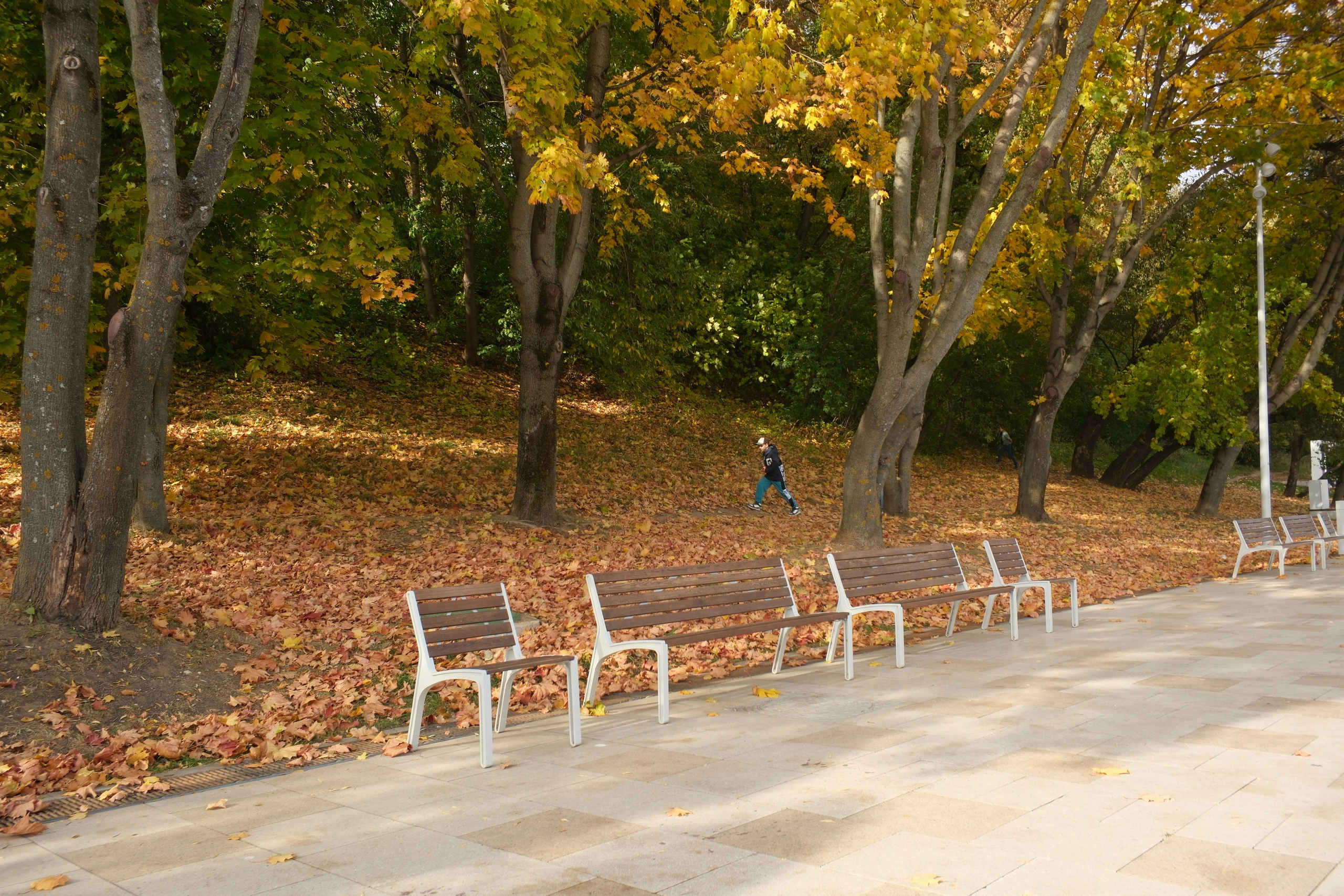 Коломенское 04.10.2025. Улица, люди, жизнь…