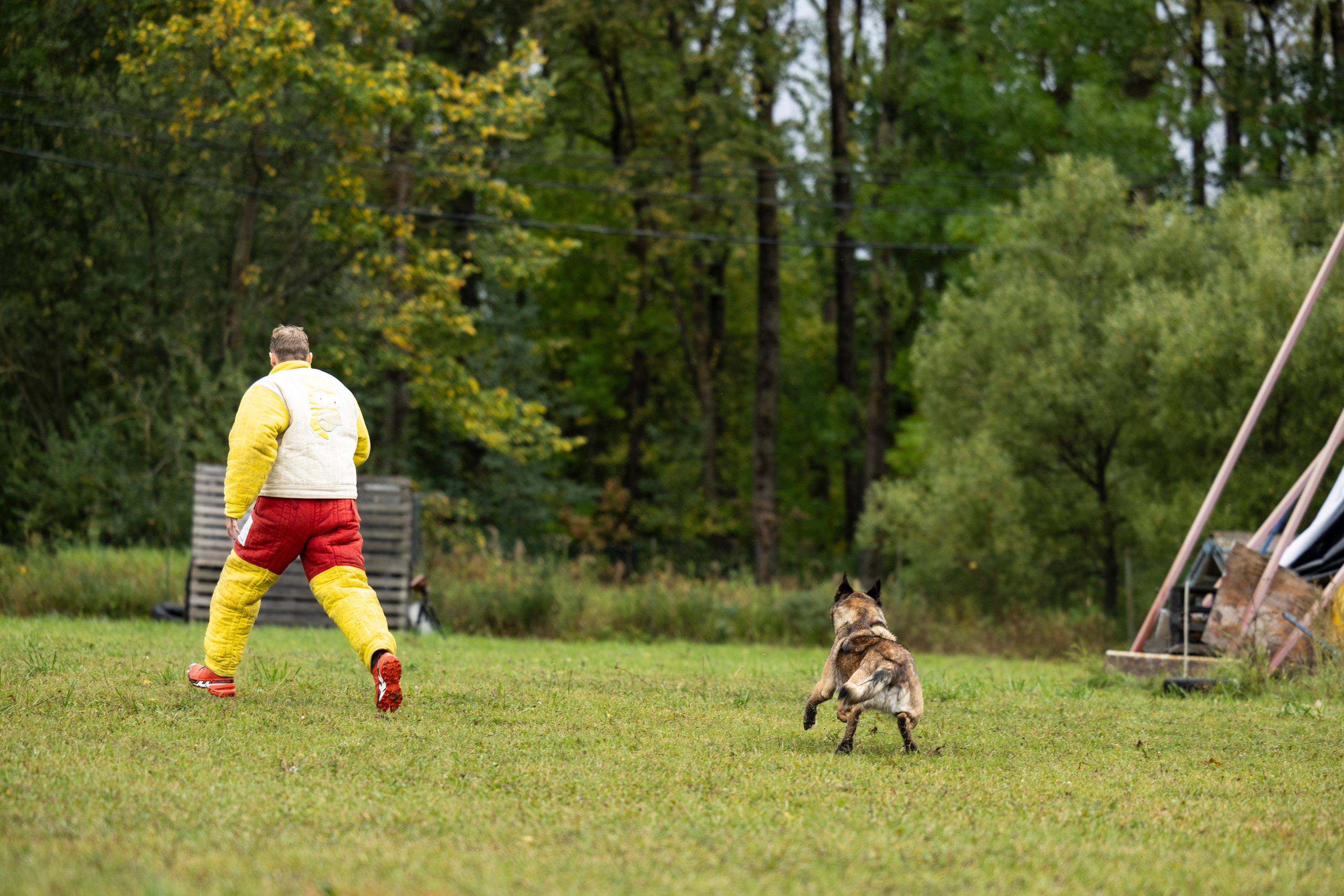 Испытания по Мондьорингу г. Пушкин. Фотограф-анималист Анна Маринич