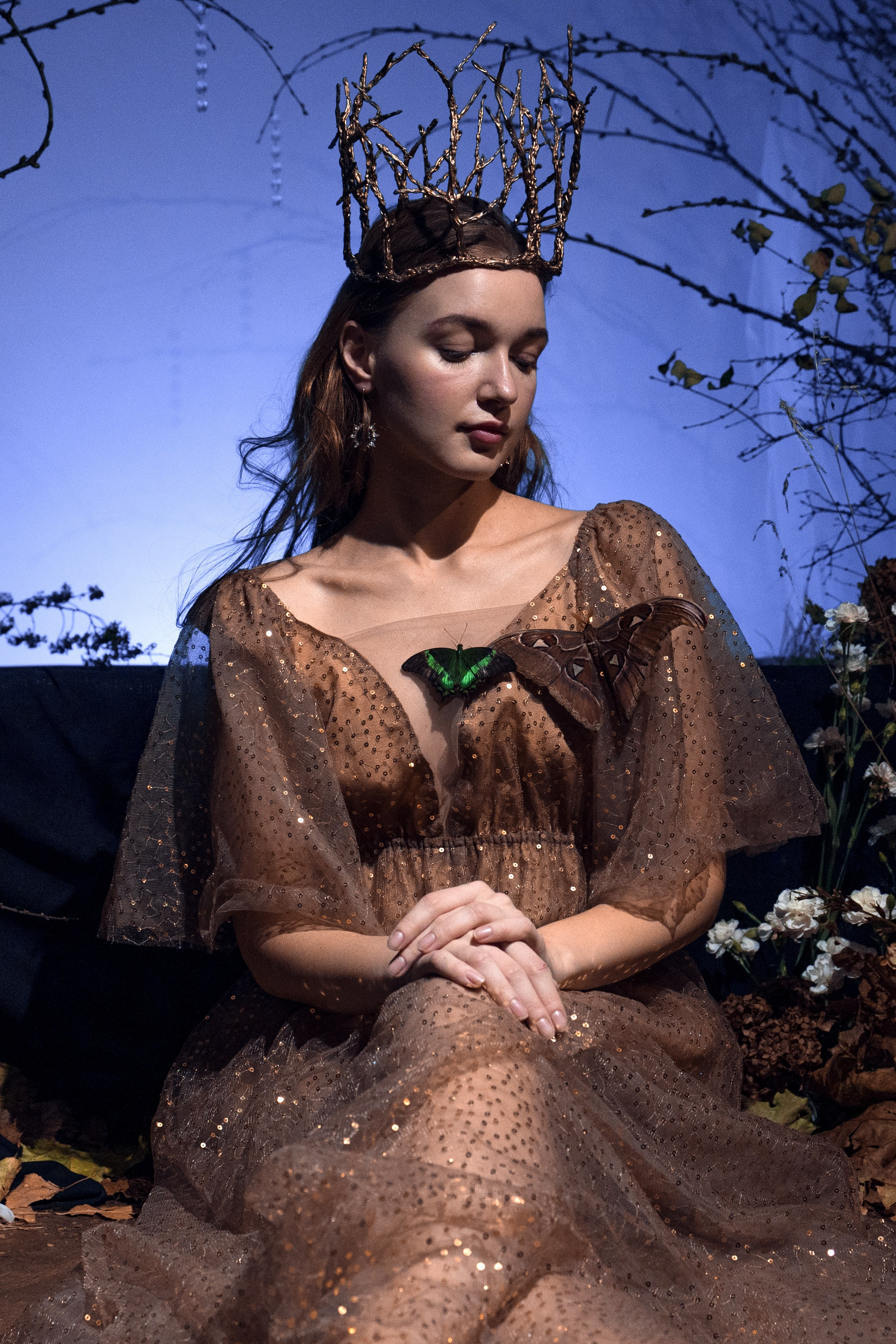 Фейский Альбом