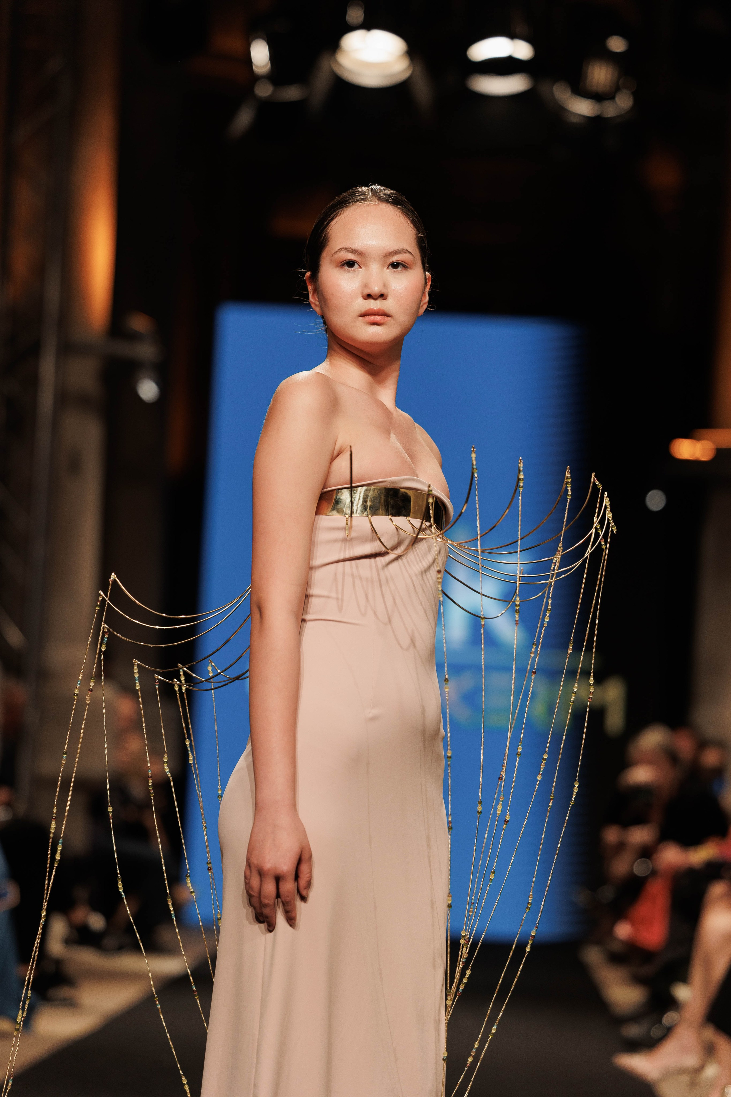 IFB-показ. About