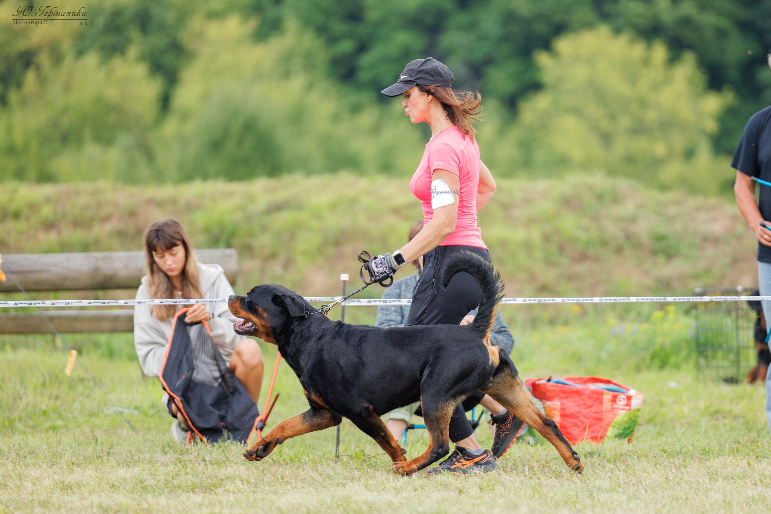 Рязань 2хмоно ротвейлеры 16-17.08.2025. Фотограф-анималист Юлия Германика