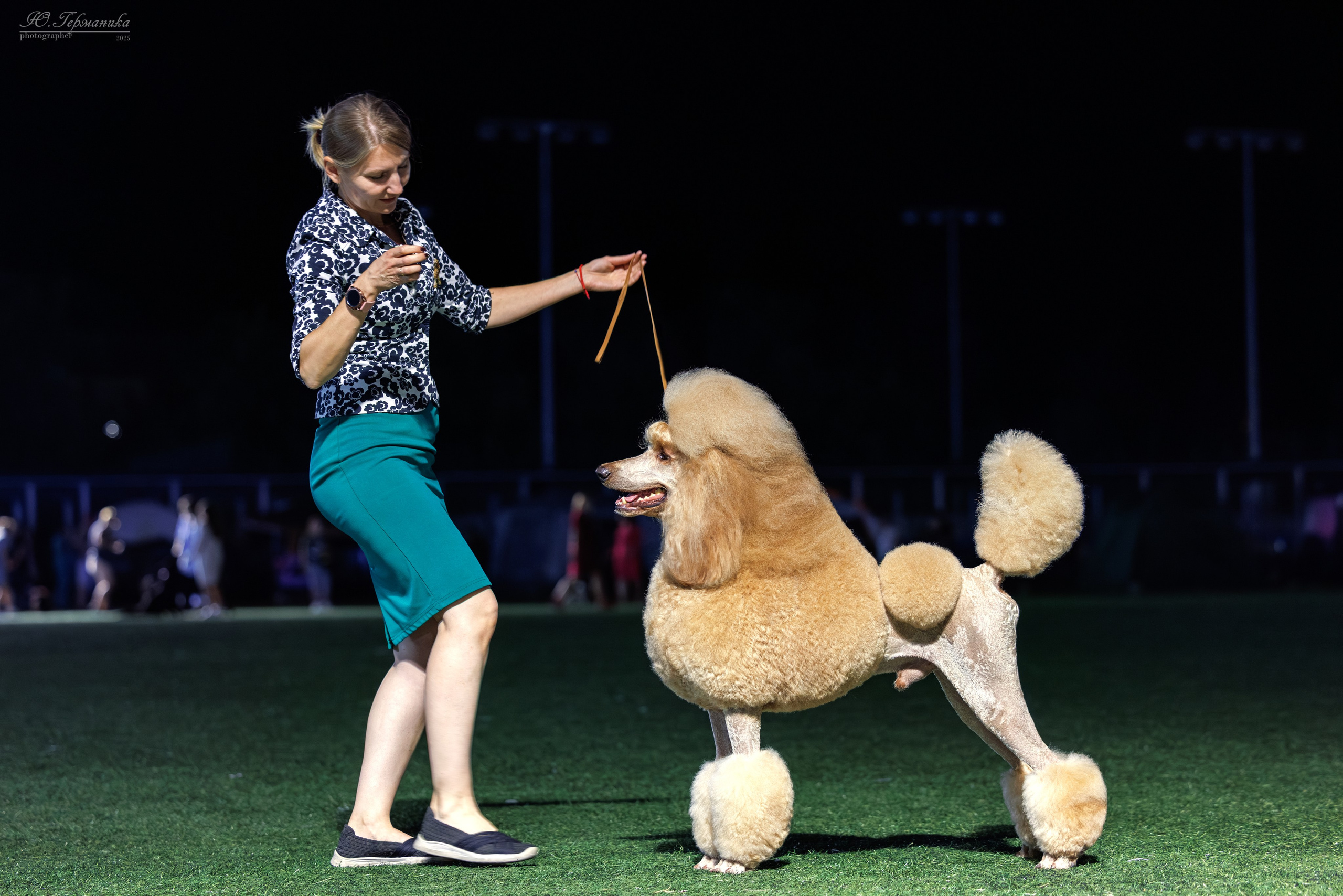 Калининград 25-27.07 Волгоград 1-3.08 2025. Фотограф-анималист Юлия Германика