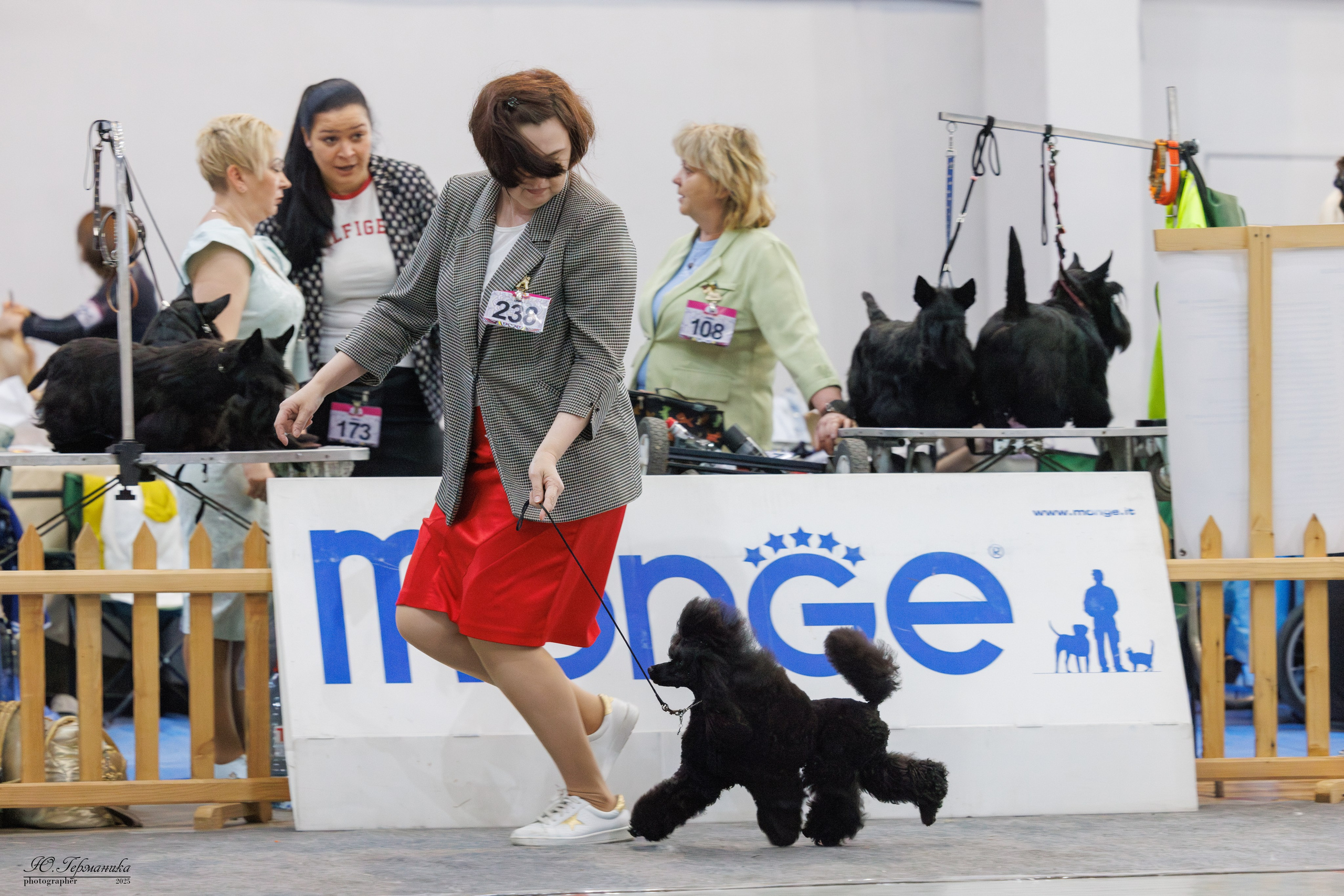 Ереван 2х CACIB 29-30.04.2025. Фотограф-анималист Юлия Германика