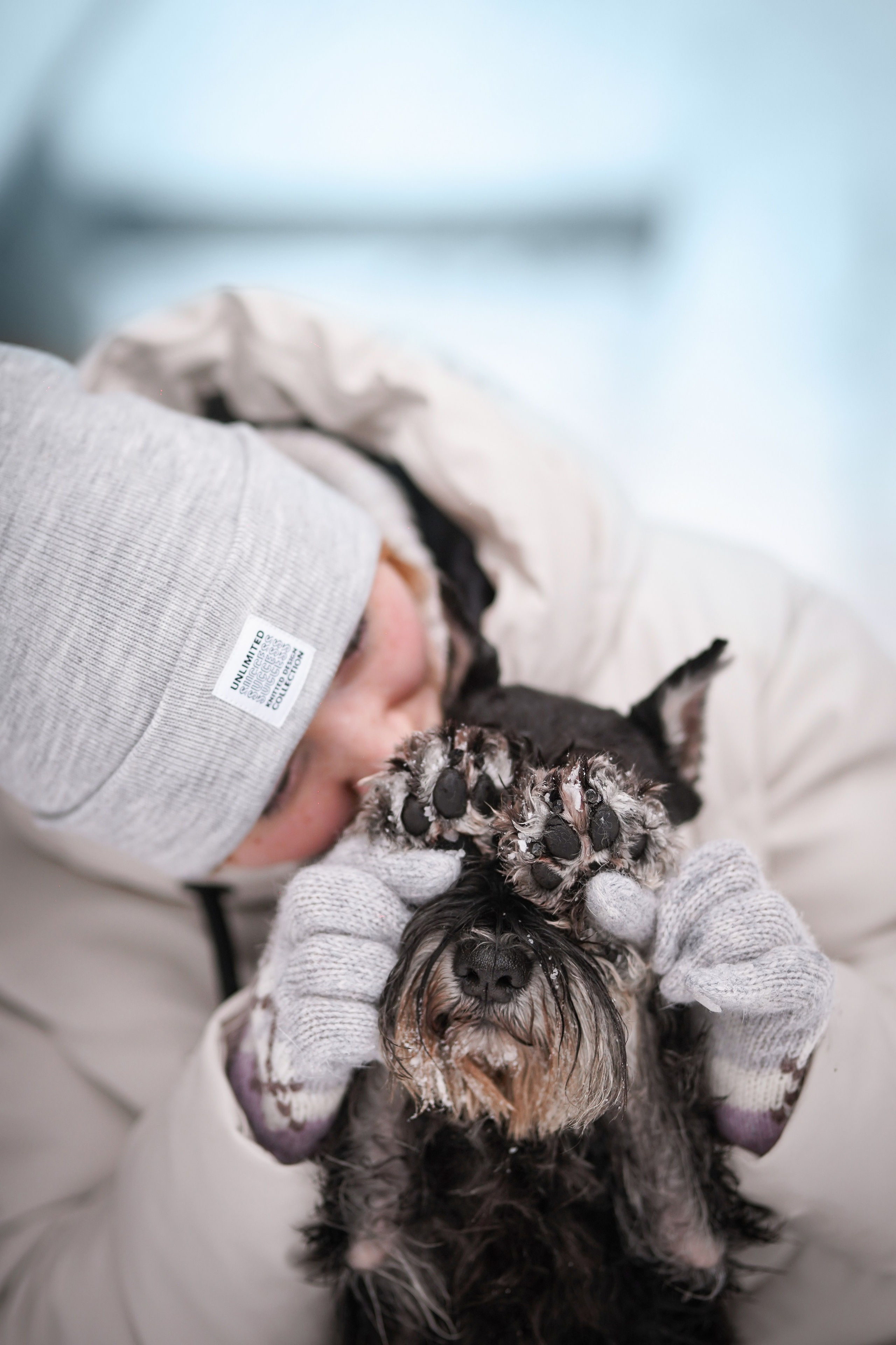 Оля Миша и шнауцеры. Фотограф-анималист в Санкт-Петербурге Яна Мартынова