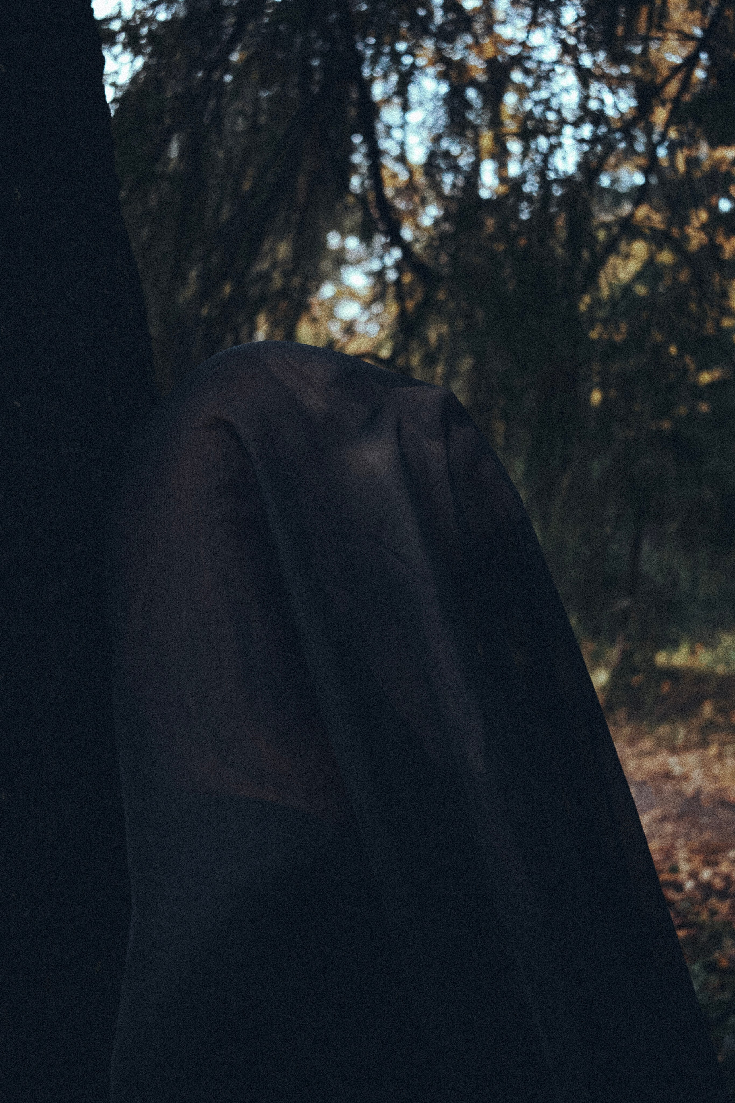 Где спит туман. Ваагн Малхасян | Фотограф | Санкт-Петербург. Создаю атмосферные кадры