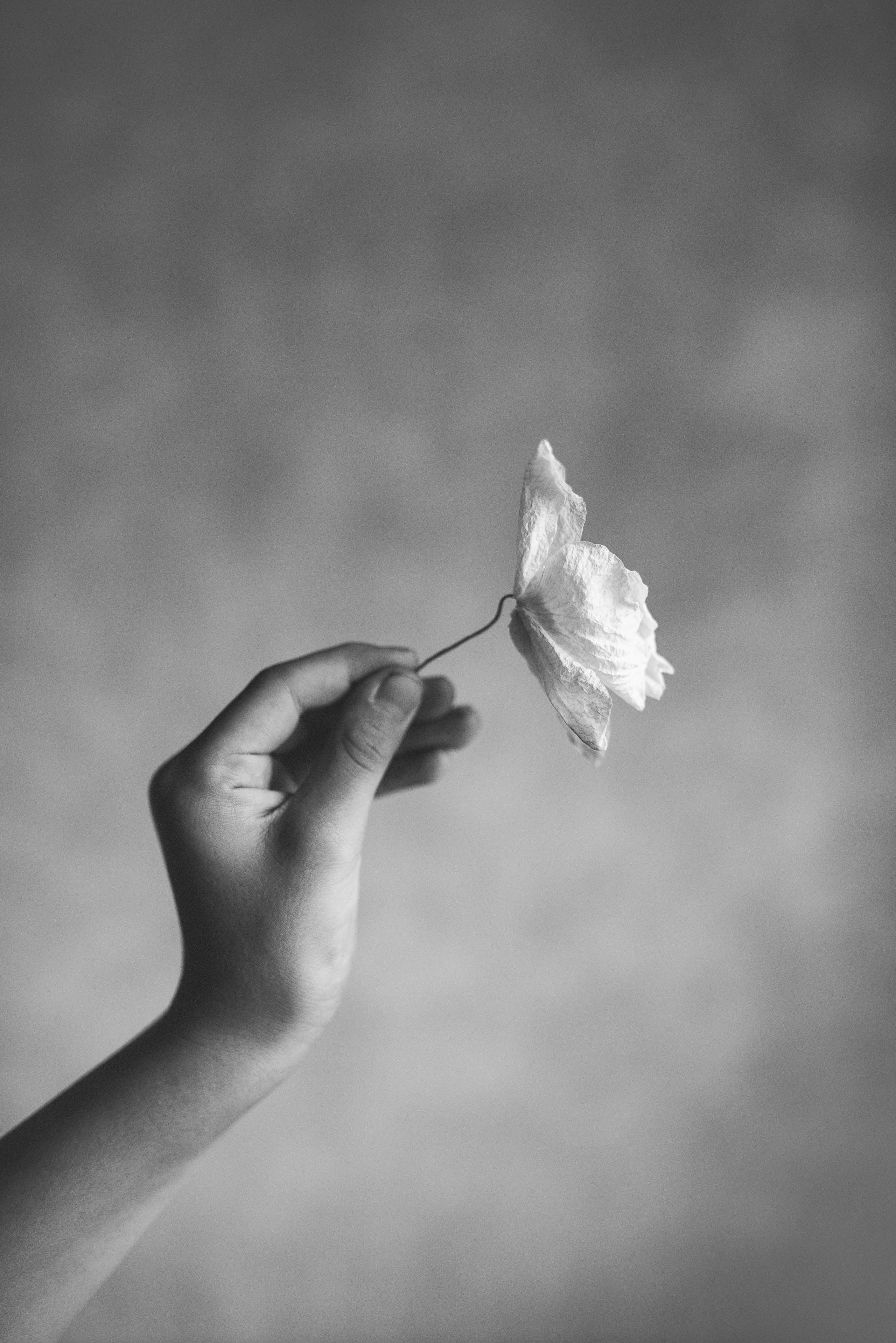 ДУША. Семейный и newborn фотограф в Уфе Елена Сакурова