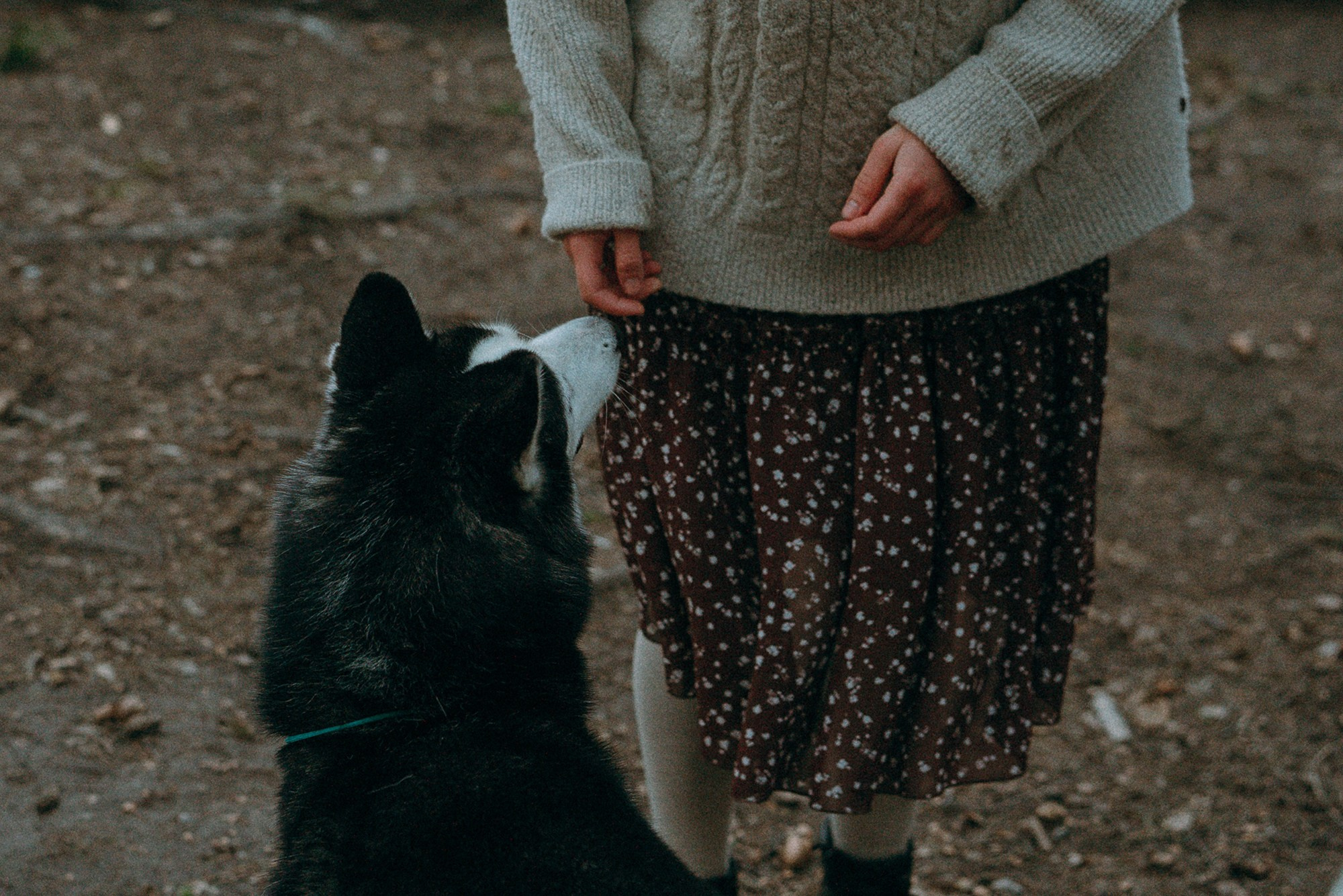 Наташа и Сириус. Фотограф анималист в Москве и Санкт-Петербурге Свиридова Анна