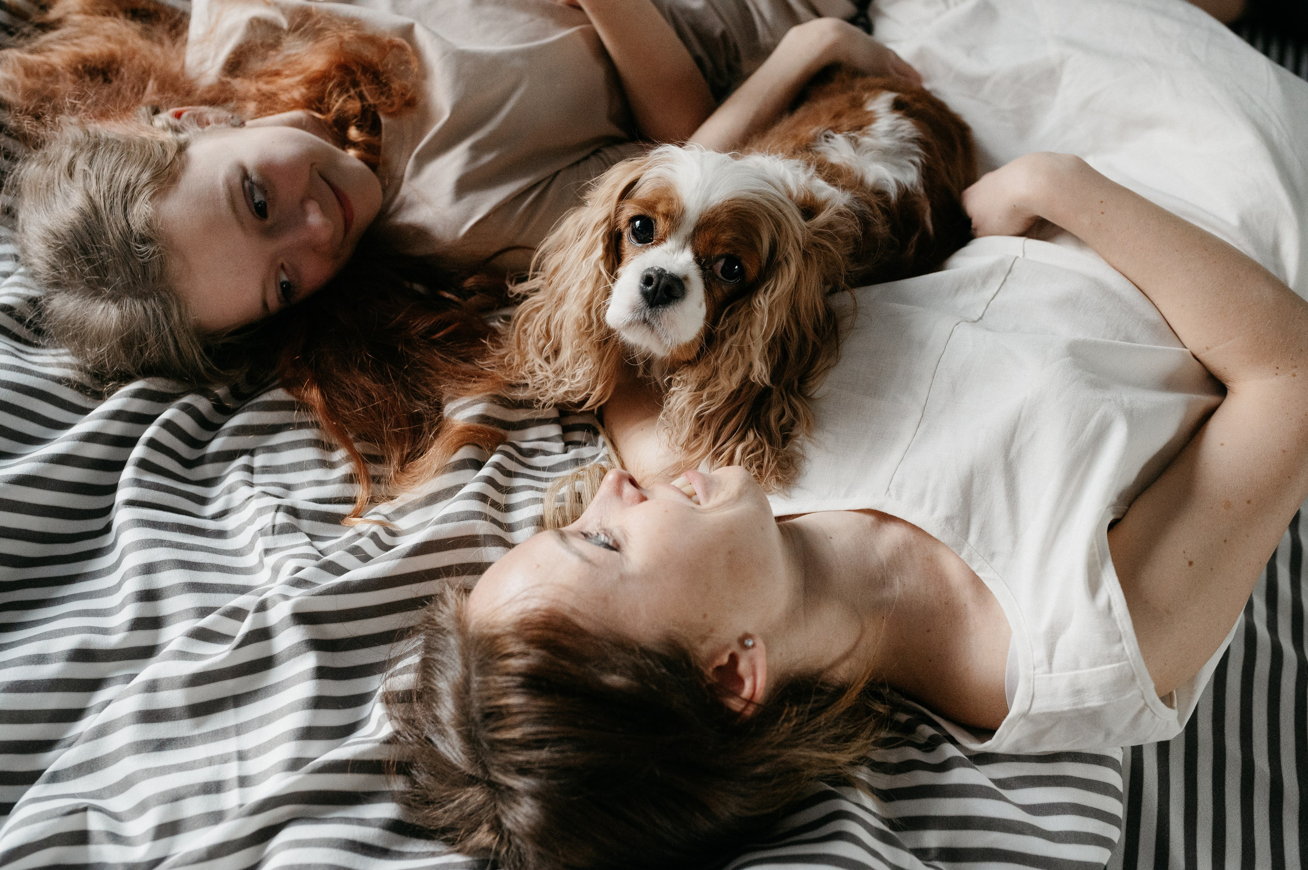 Даша, Диана, Дебби и маленькая крыска. Фотограф анималист в Москве Ольга Агушева