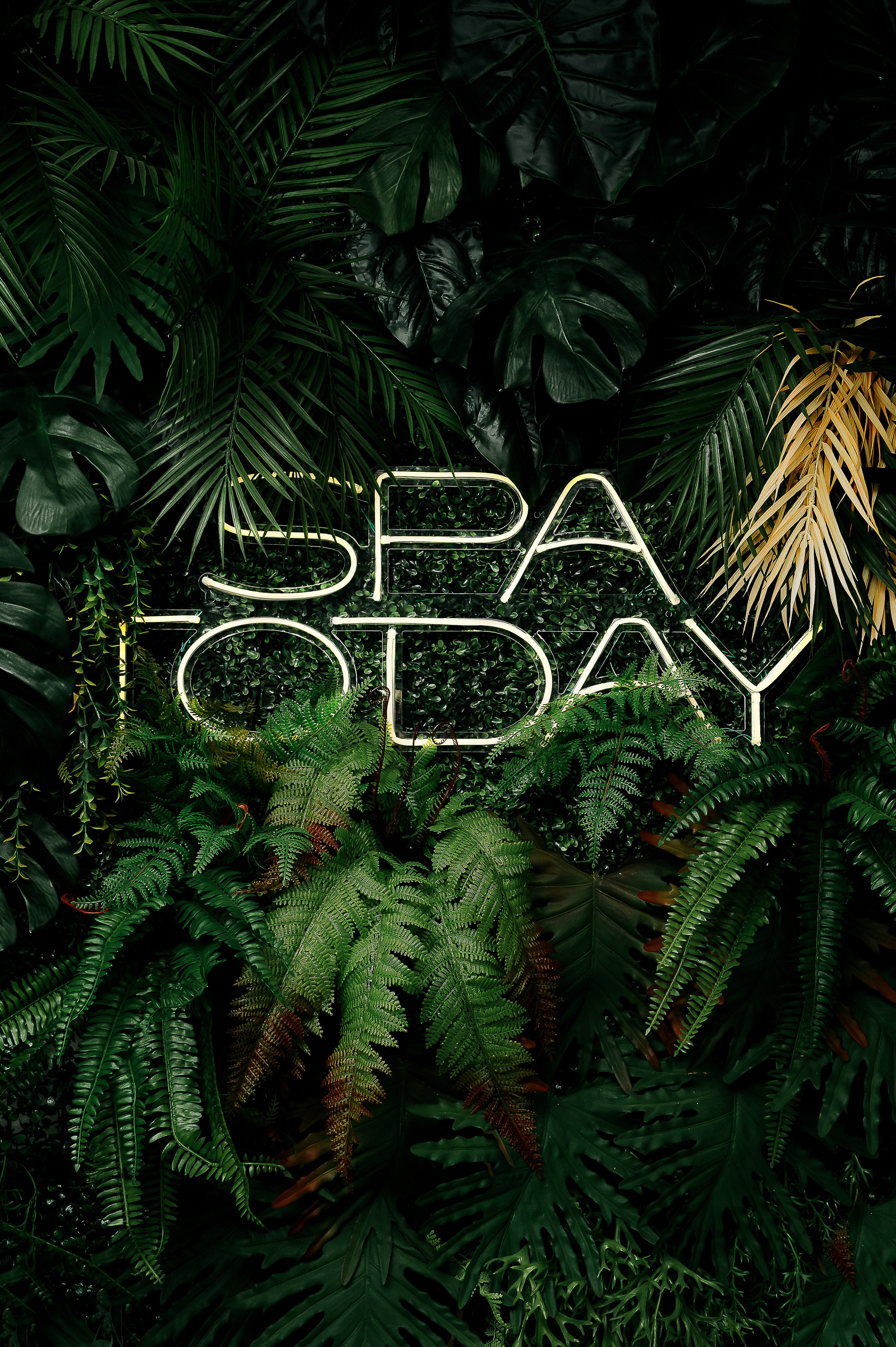 Коммерческие кейсы. Фотограф, контент-фотограф Екатеринбург и Новоуральск Екатерина Гусева