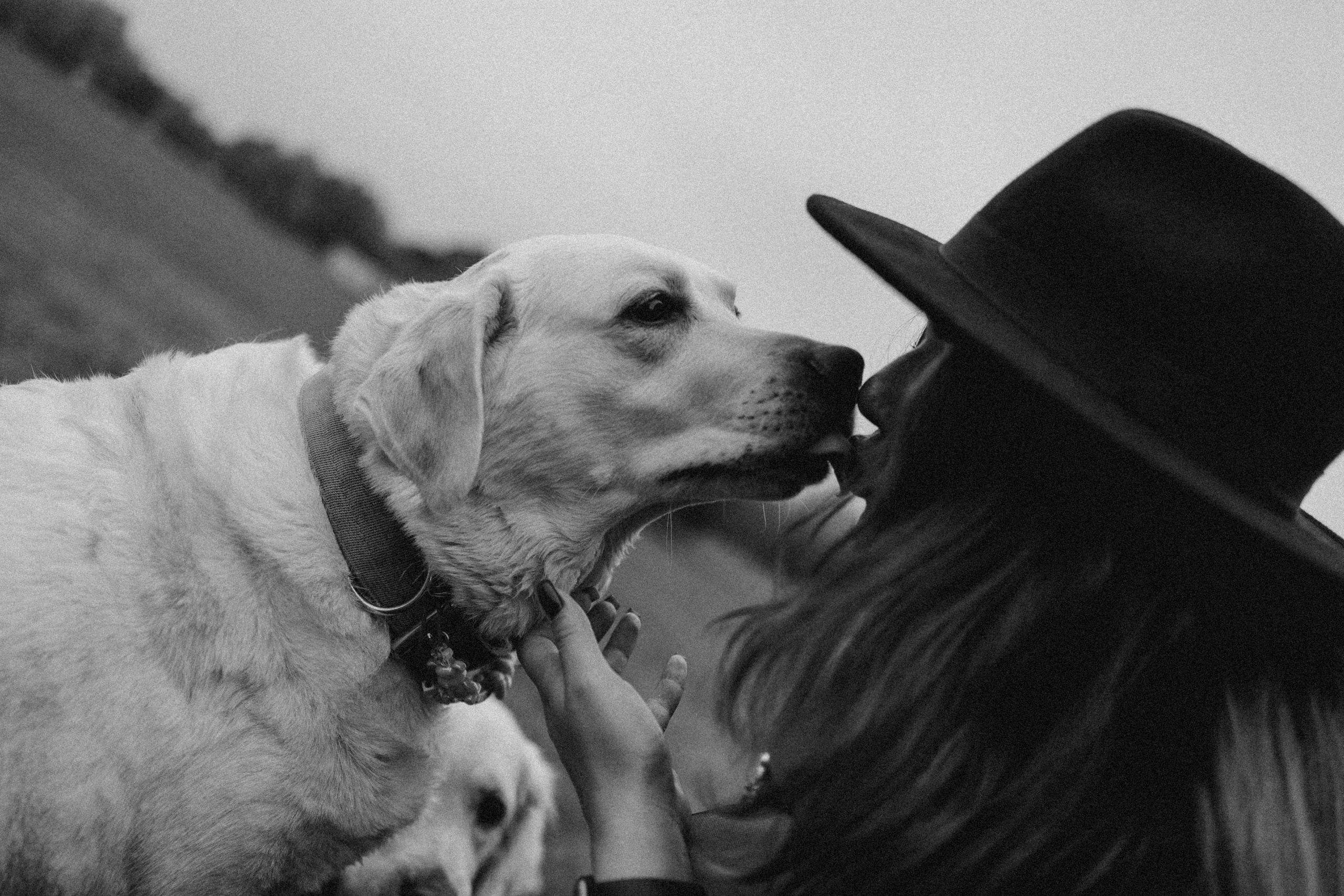 Женя и ее девочки. Фотограф — Анималист | Санкт-Петербург