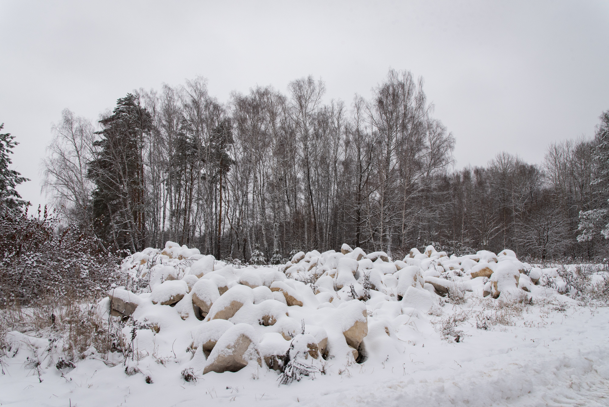 Пейзаж. Фотография для жизни от Елены Чихичиной