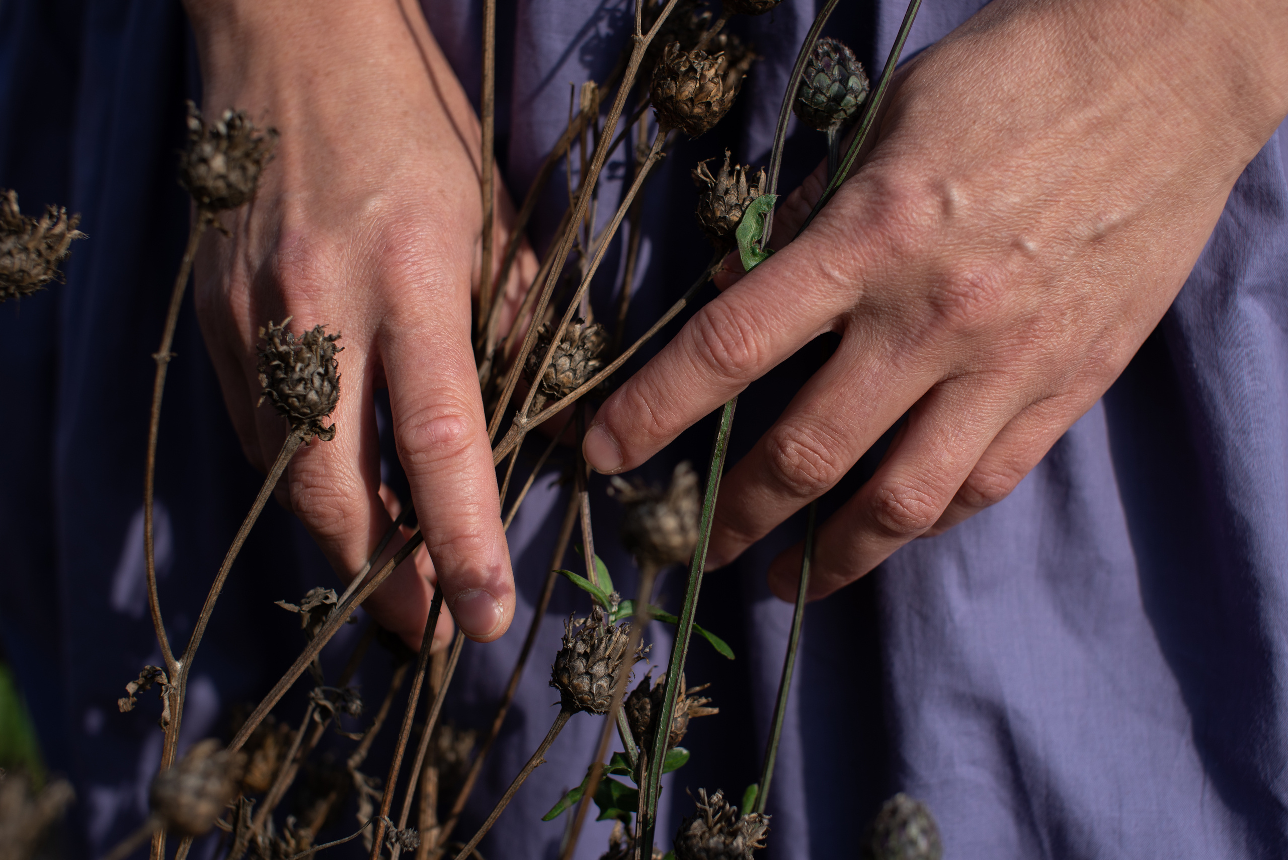Елена. Фотография для жизни от Елены Чихичиной