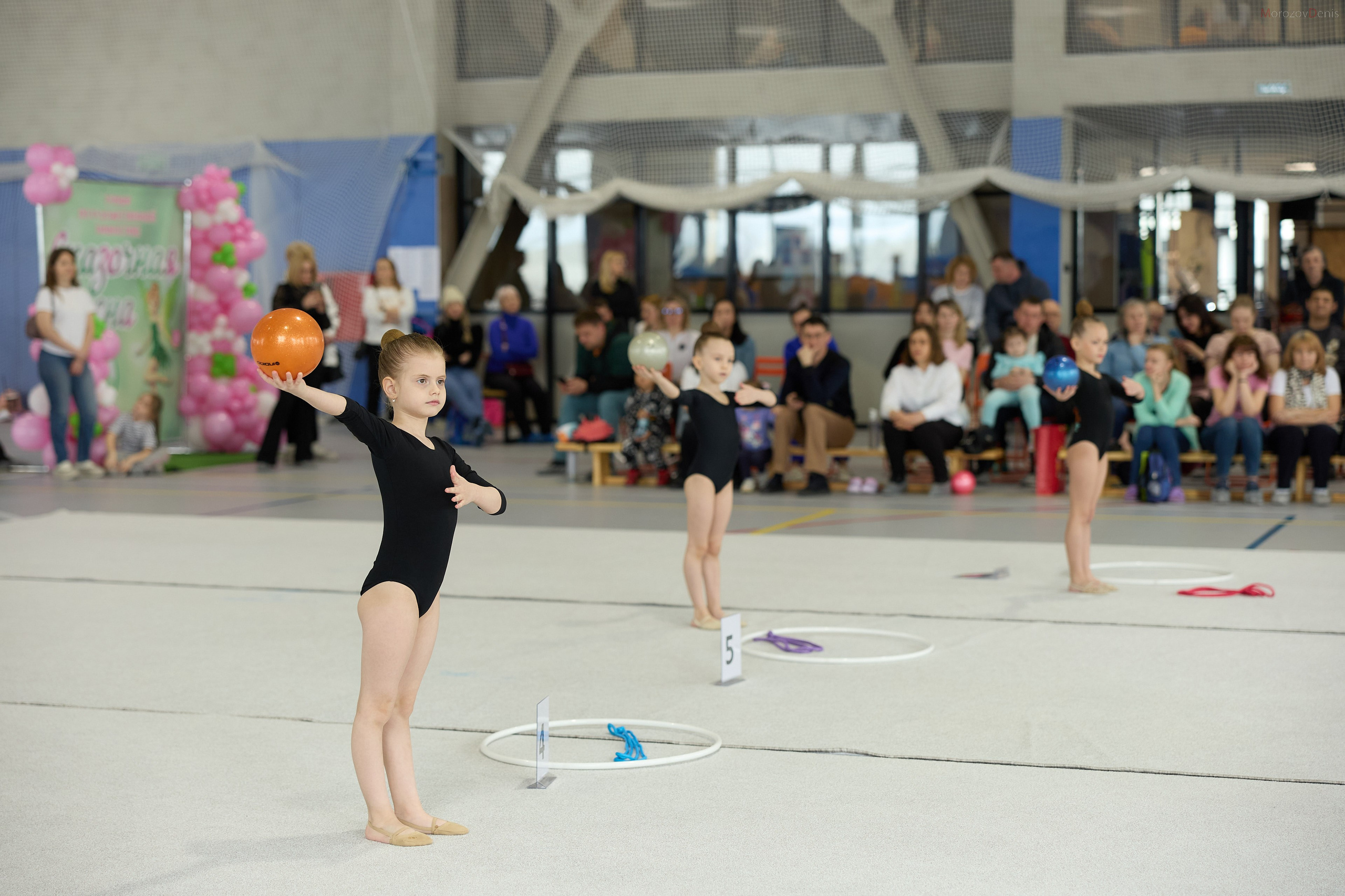 Художественная гимнастика