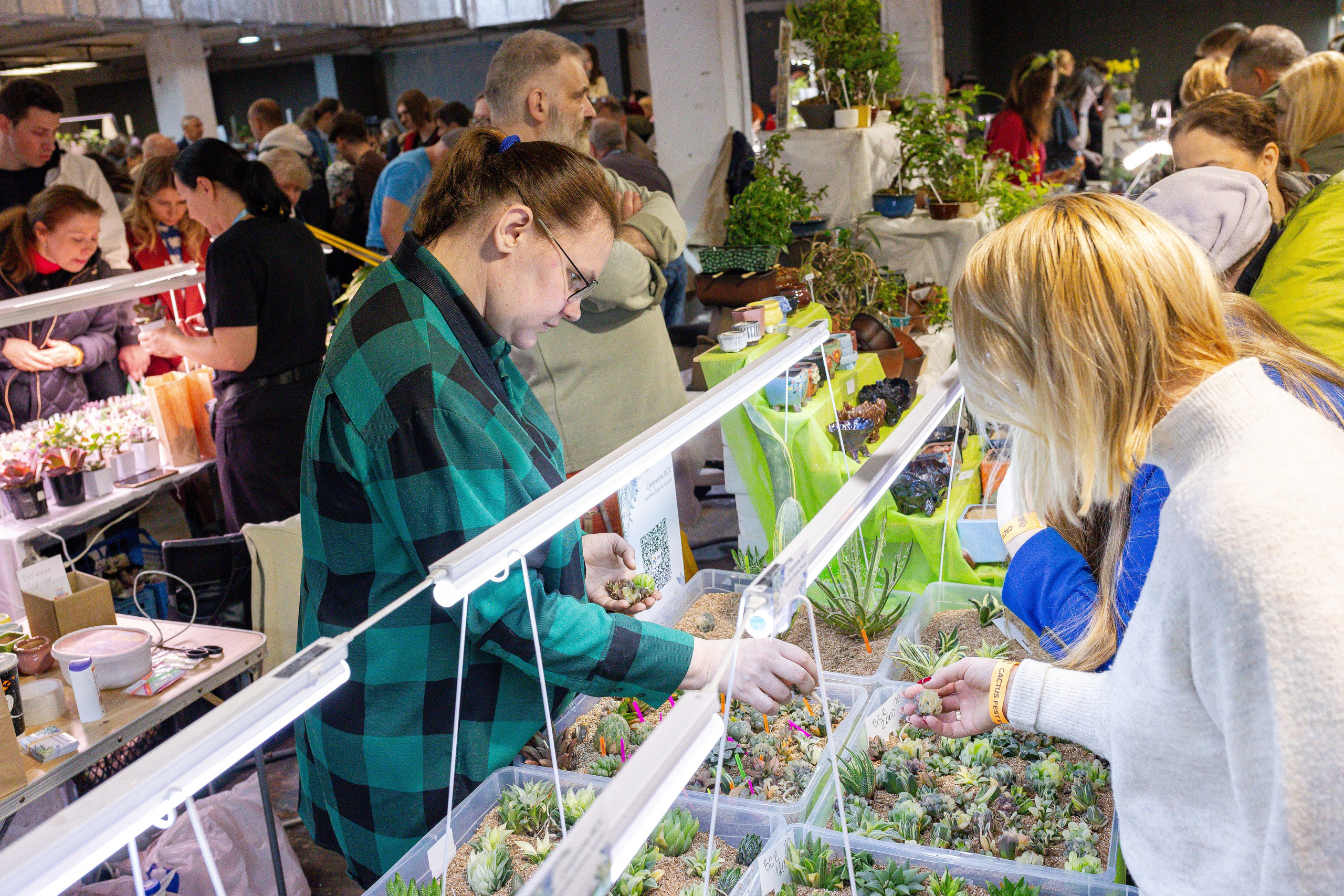 Кактус Фест. Александра Куликова фотограф, Москва