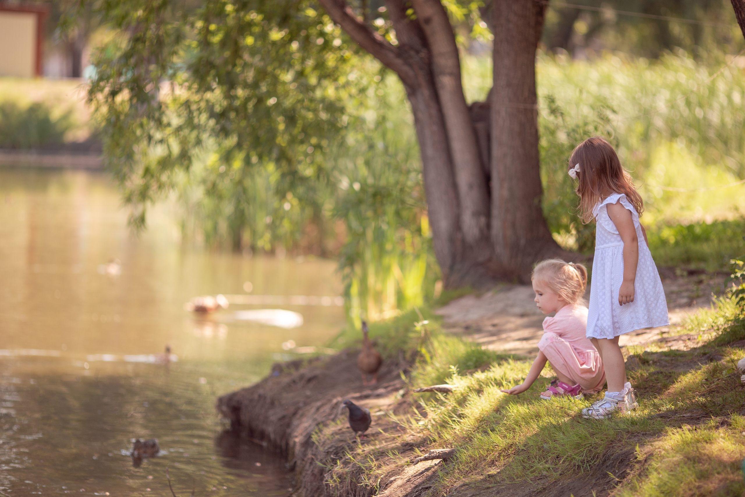 Семейный фотодень. Фотограф в Самаре Сташенкова Юлия