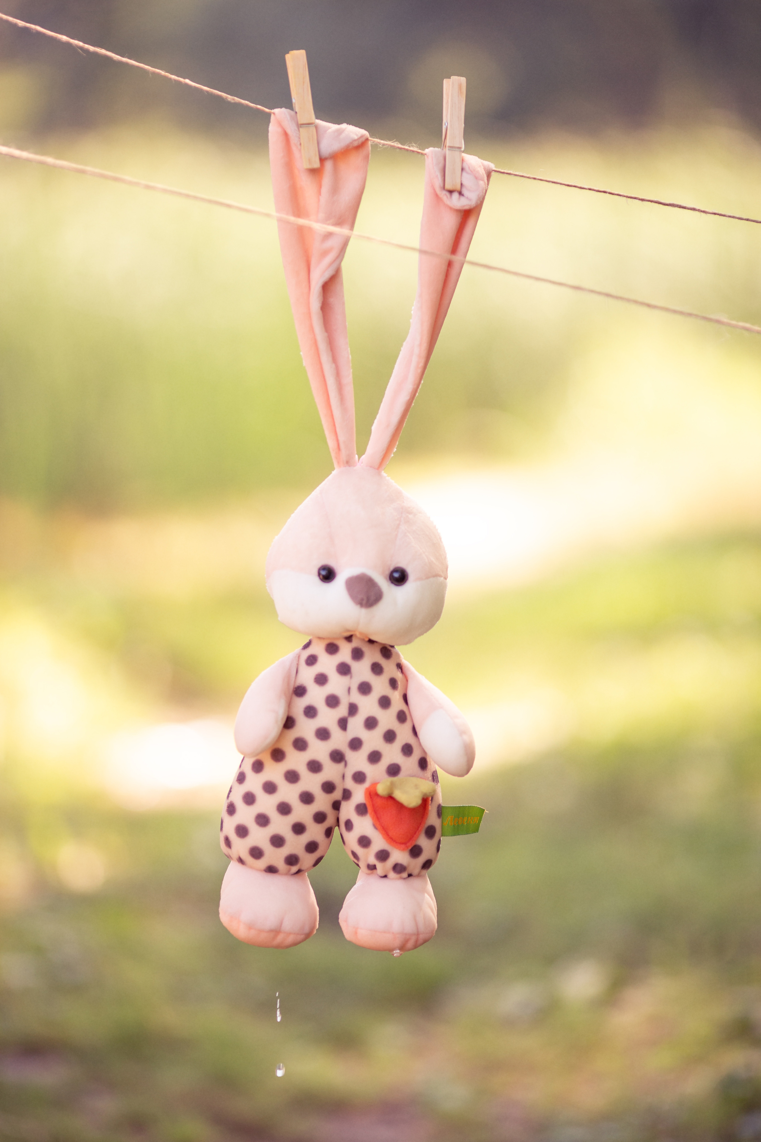 Семейный фотодень. Фотограф в Самаре Сташенкова Юлия