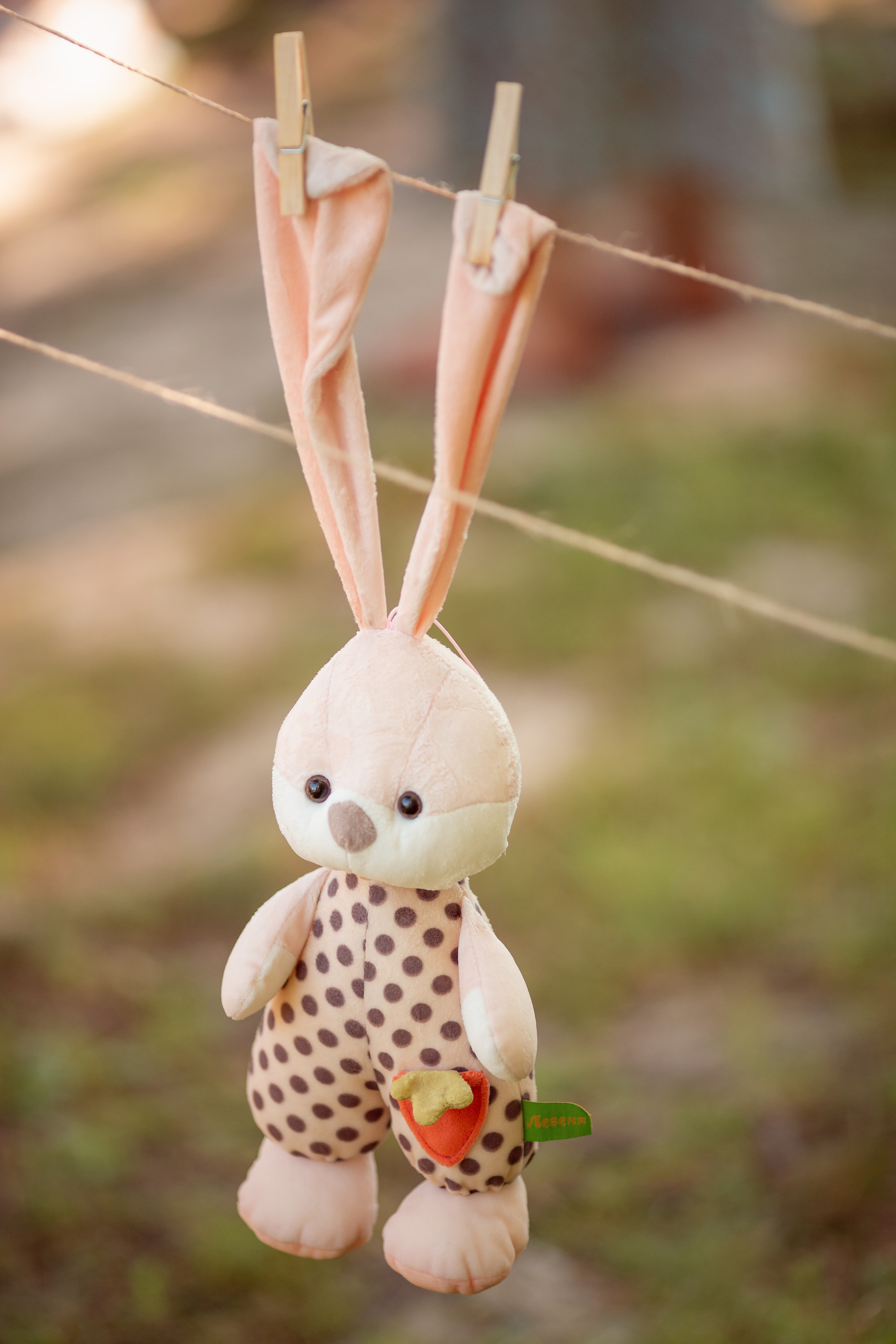 Семейный фотодень. Фотограф в Самаре Сташенкова Юлия