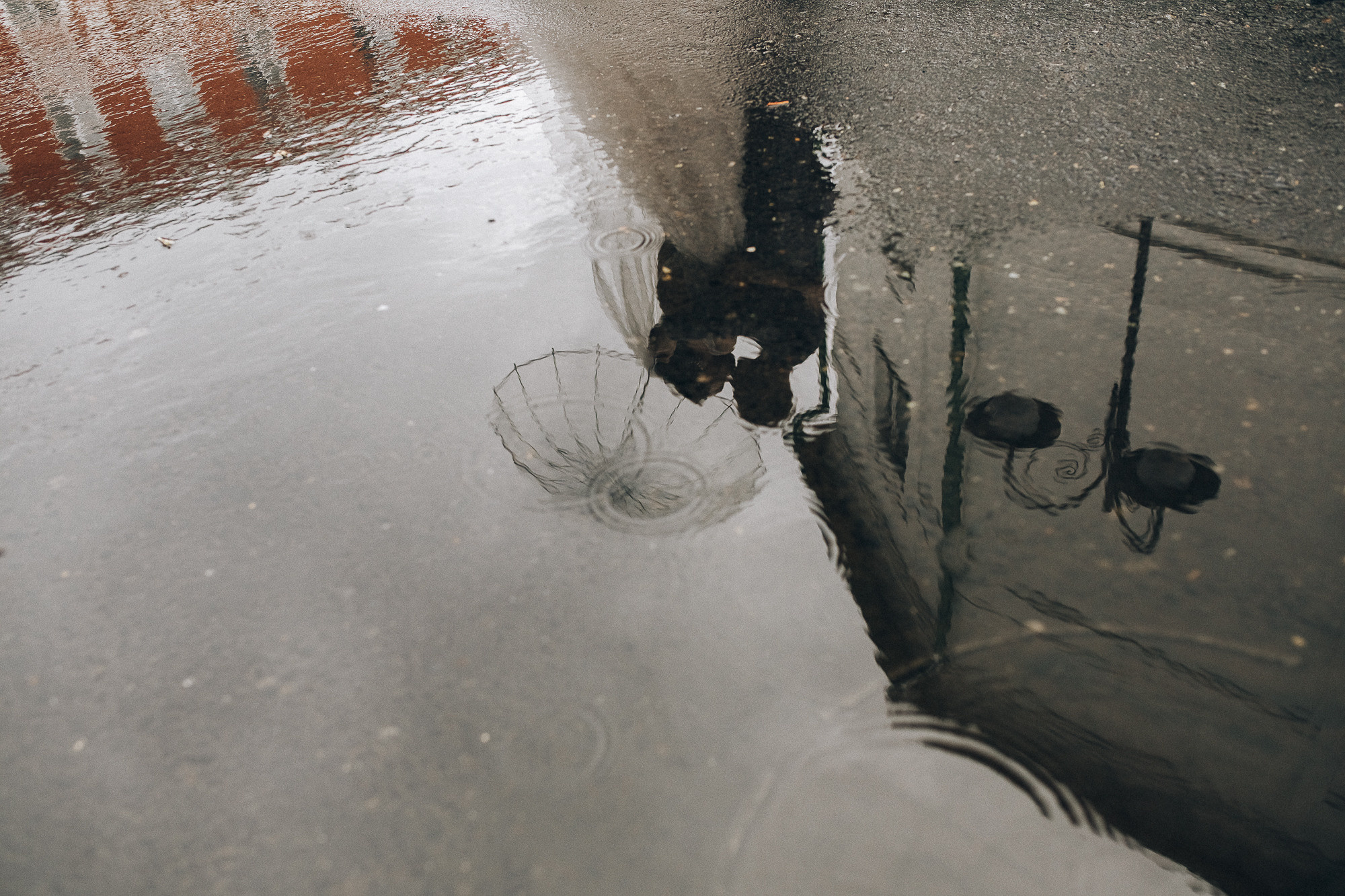 Свадебный фотограф Ярославль, Рыбинск