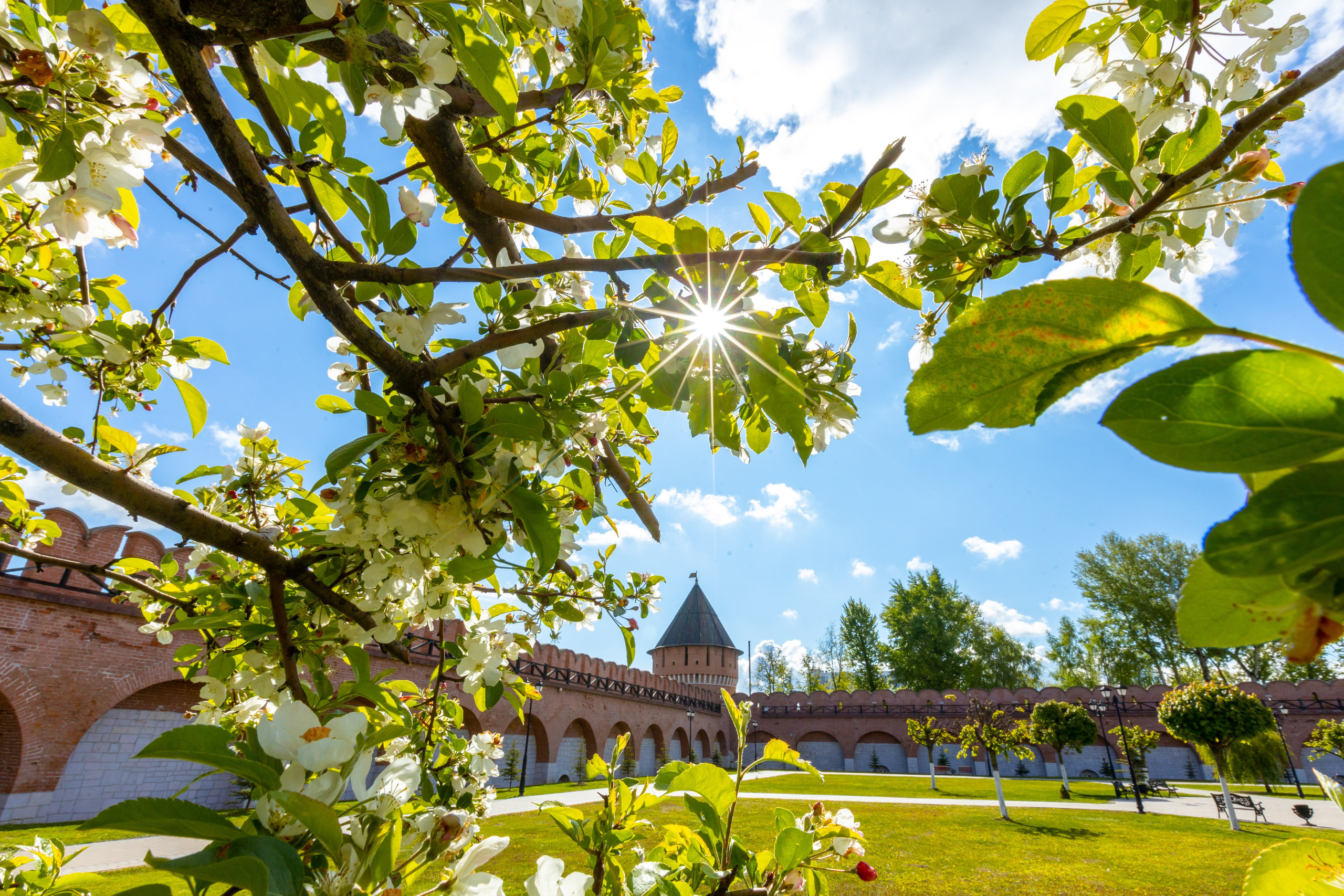 Весеннее цветение в Туле. Фотограф в Туле Крупский АнДРей. Фотостудия «КАДР71» в Туле