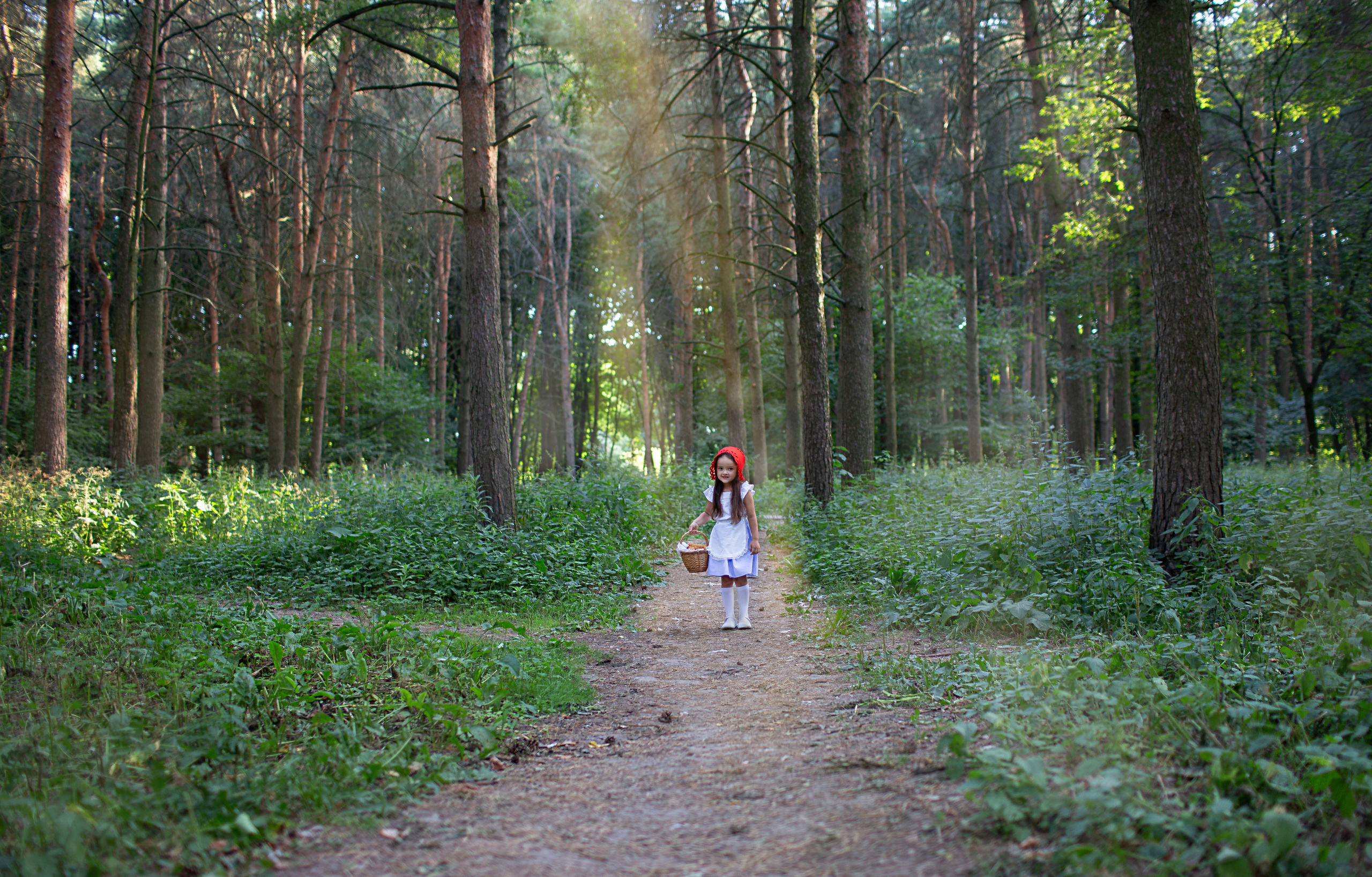 Семейный фотограф Тула, Фотосессия в Туле, детская фотосессия, Красная шапочка