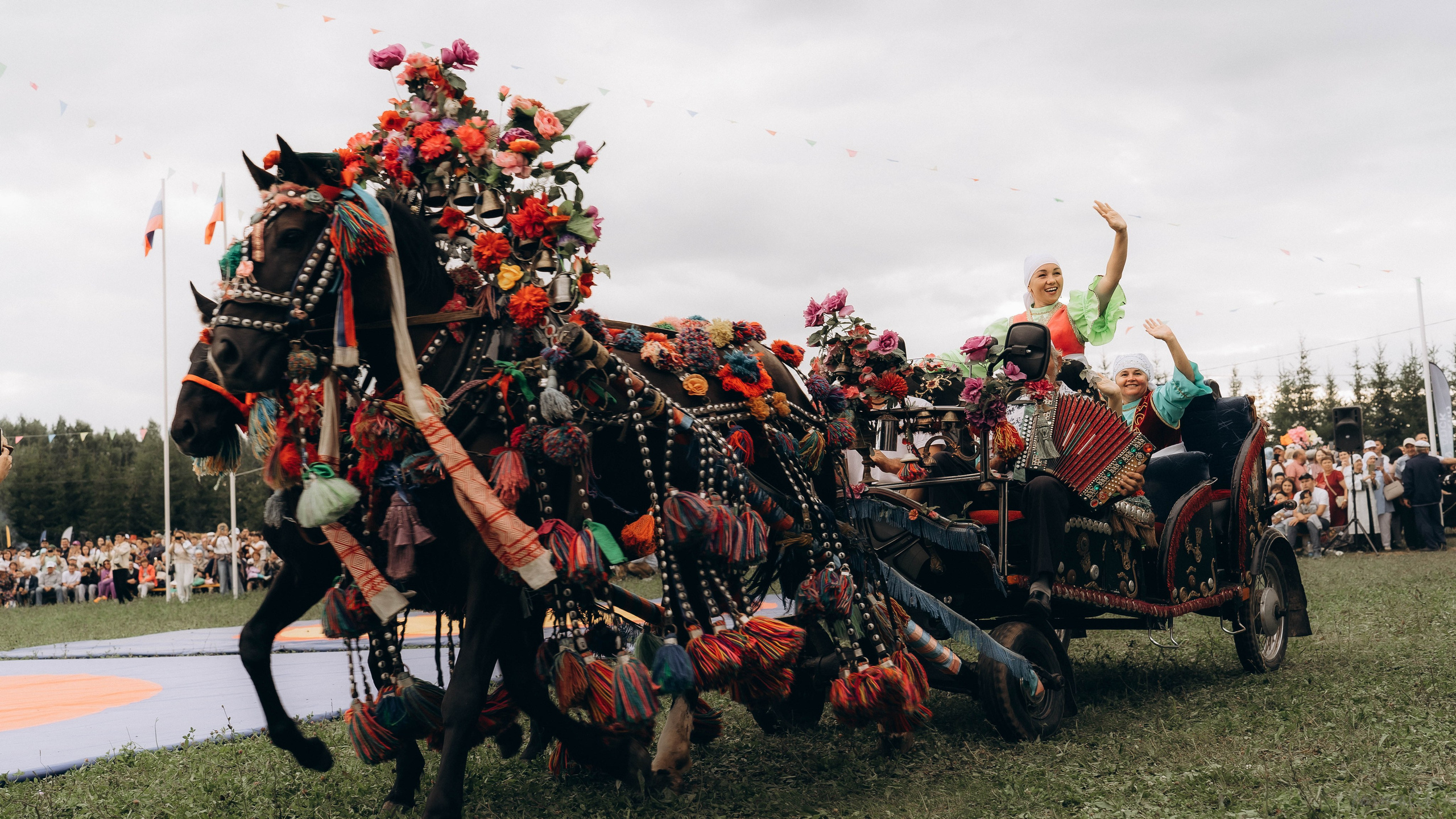 День Коня. Алиса Никитцова | Фотограф в Казани