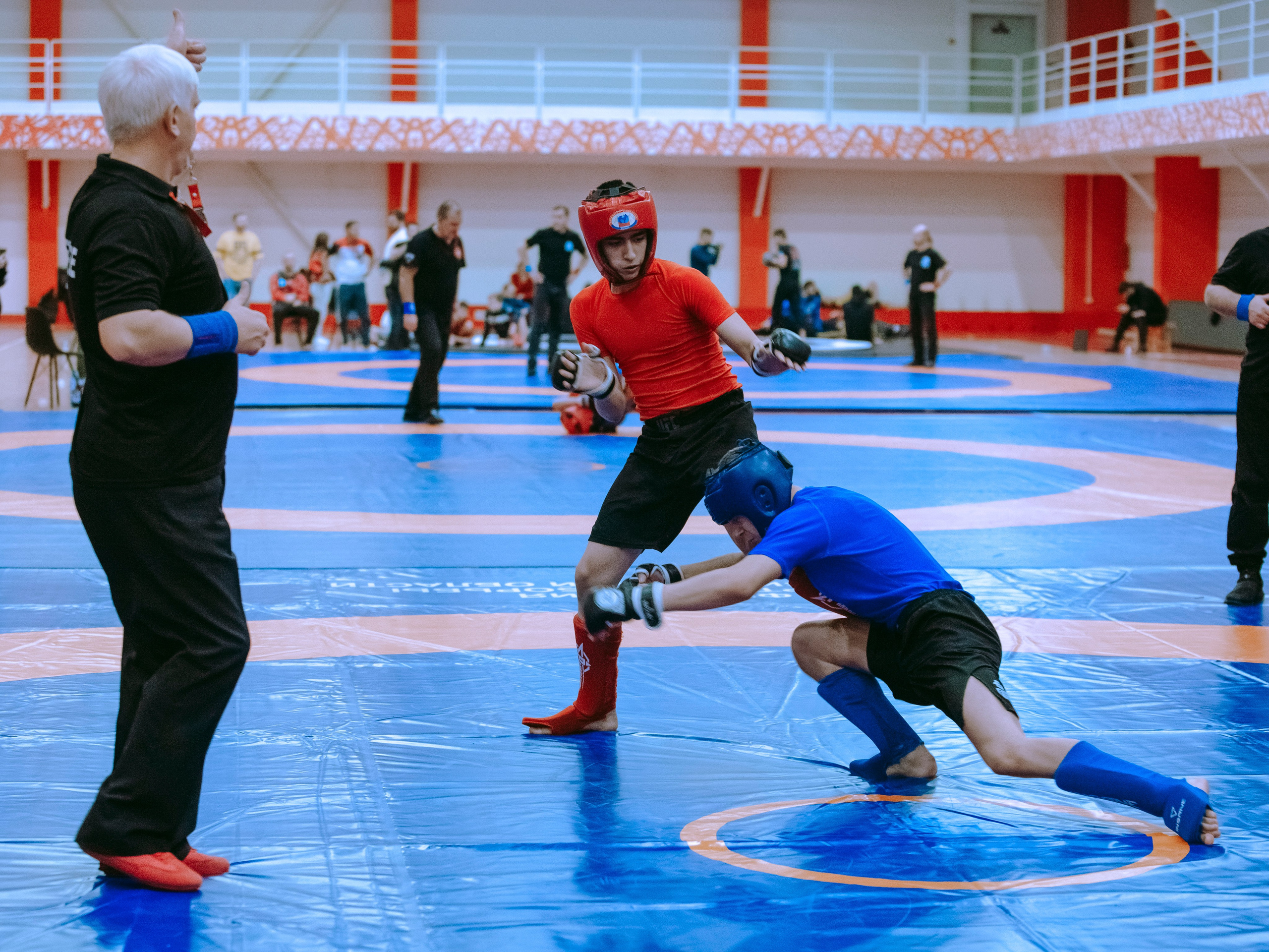 Кубок России по спортивной борьбе панкратион `23. Портретный фотограф в Москве Дарья Цезария