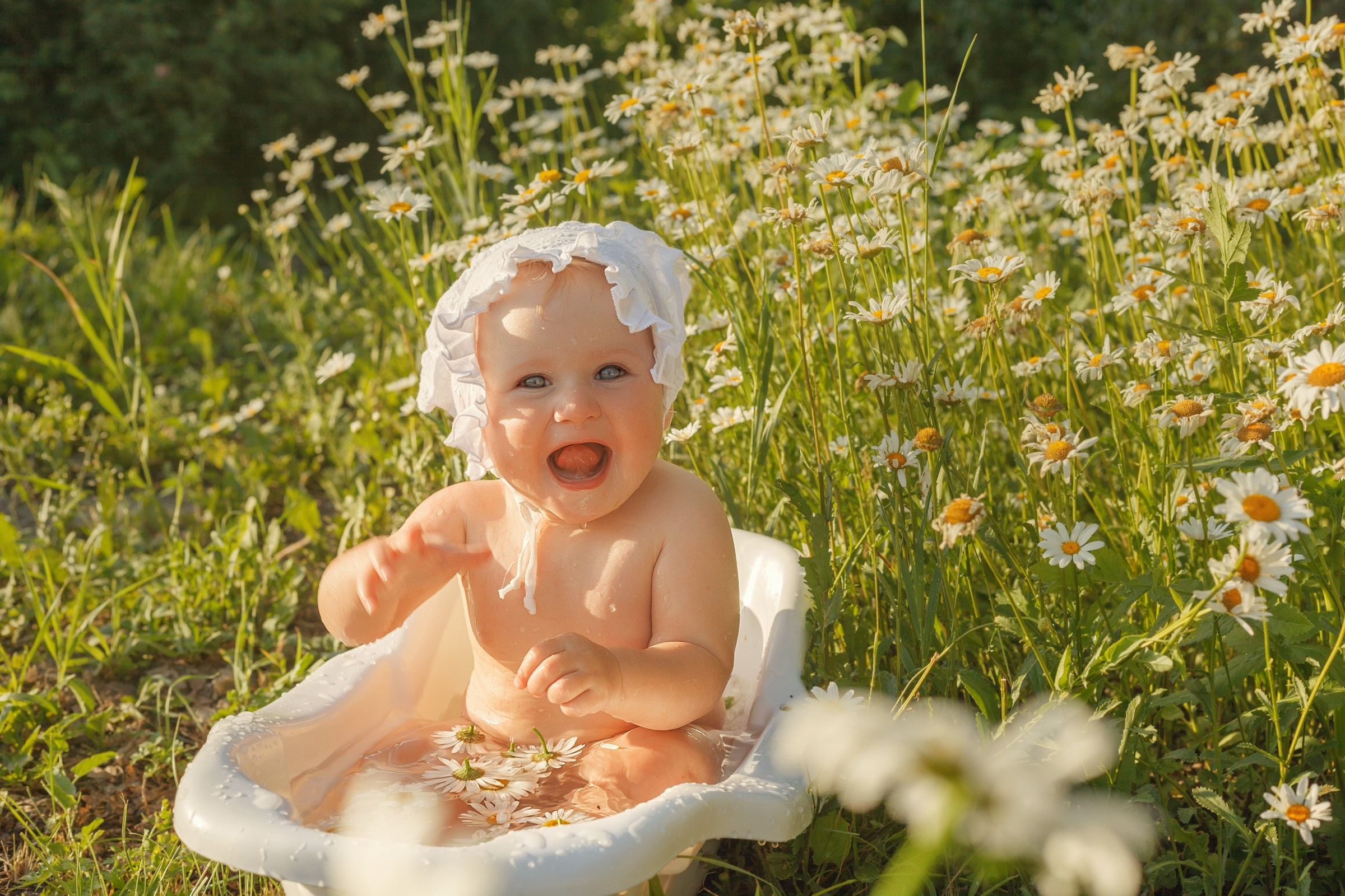 Ромашки. Детский и семейный фотограф в Бердске и Новосибирске Дарья Гребнева