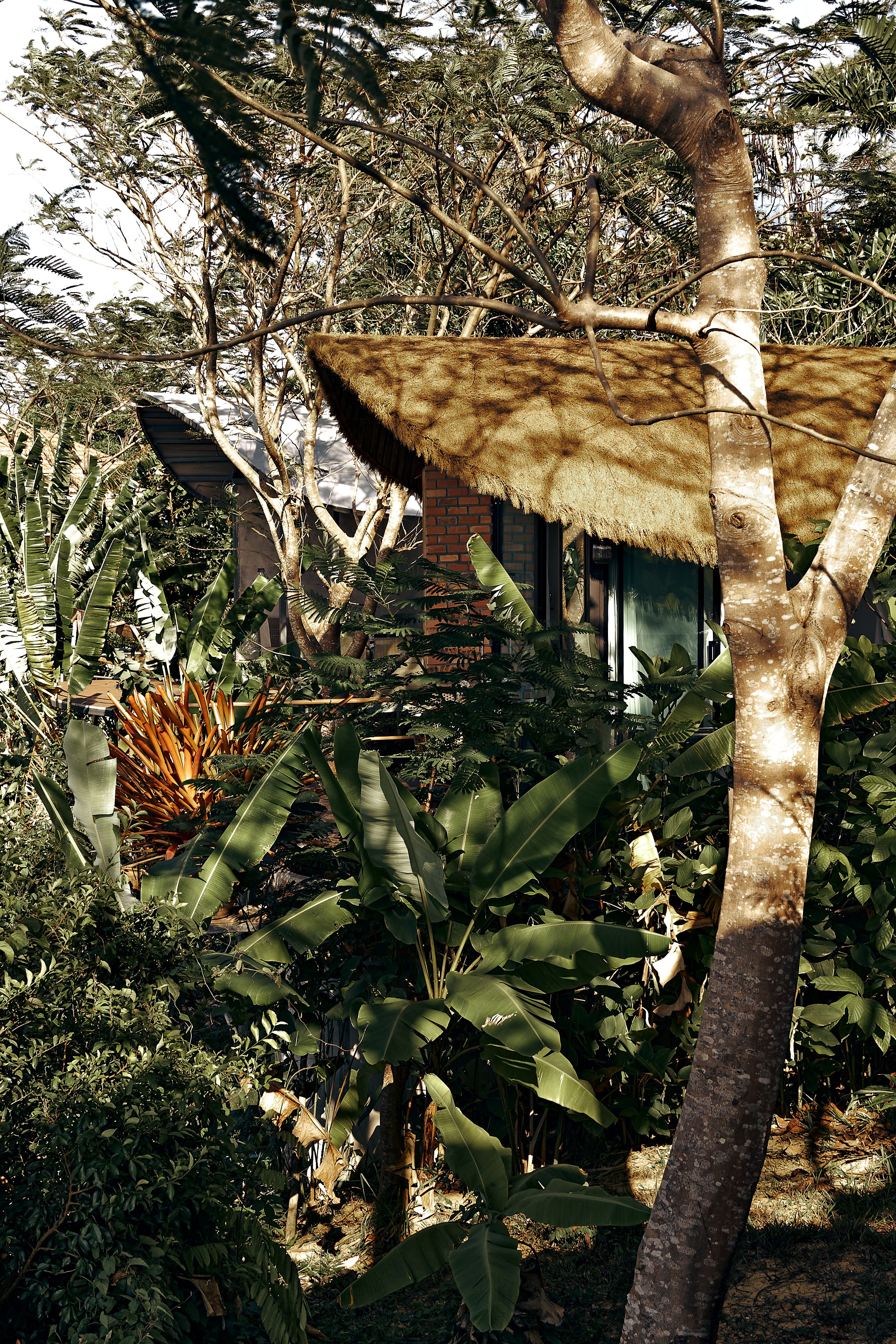 Jungle Farm. Mayskaya photography