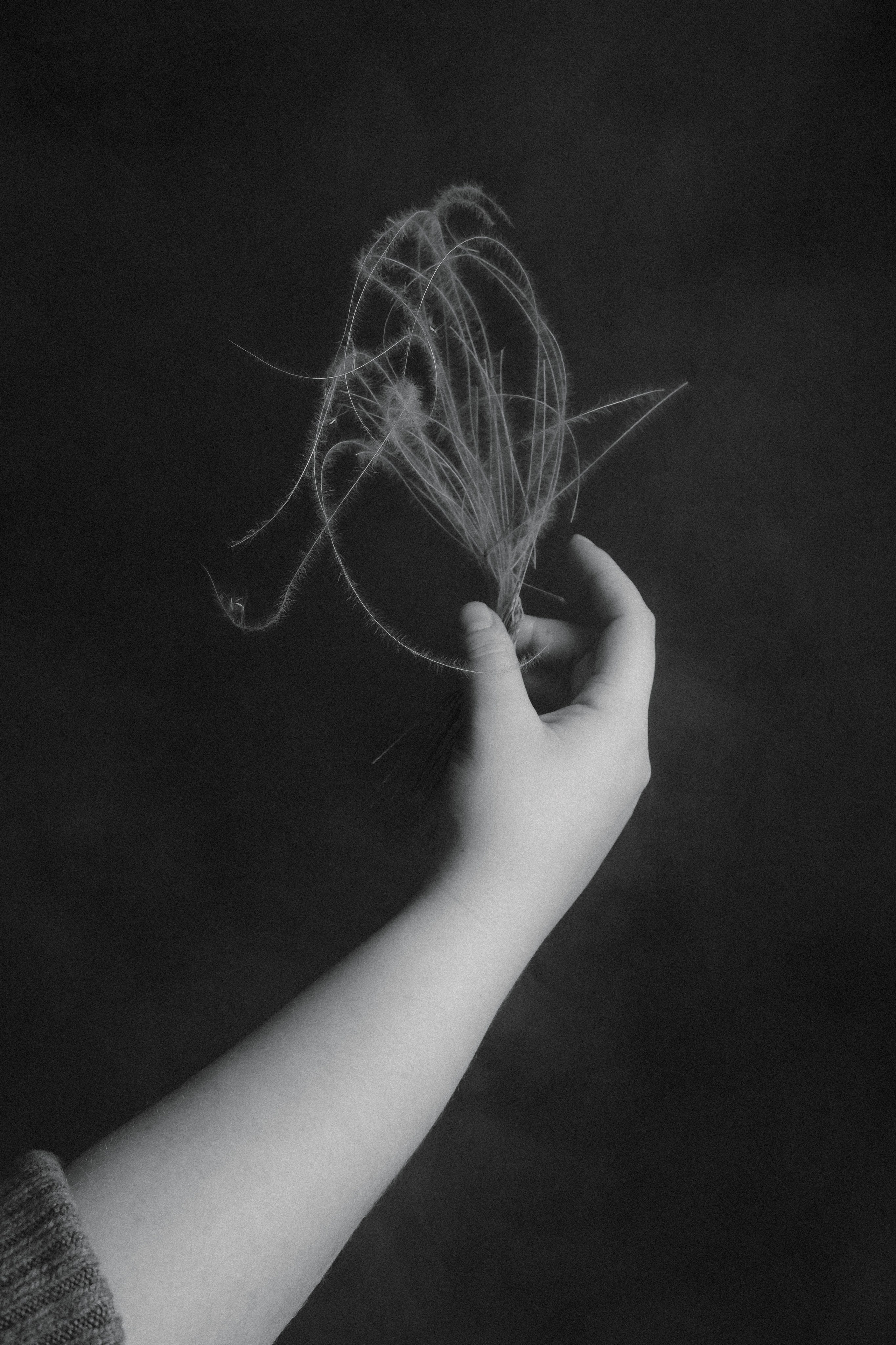 Лиза. Женский фотограф Татьяна Ветер. Работаю в Волгограде