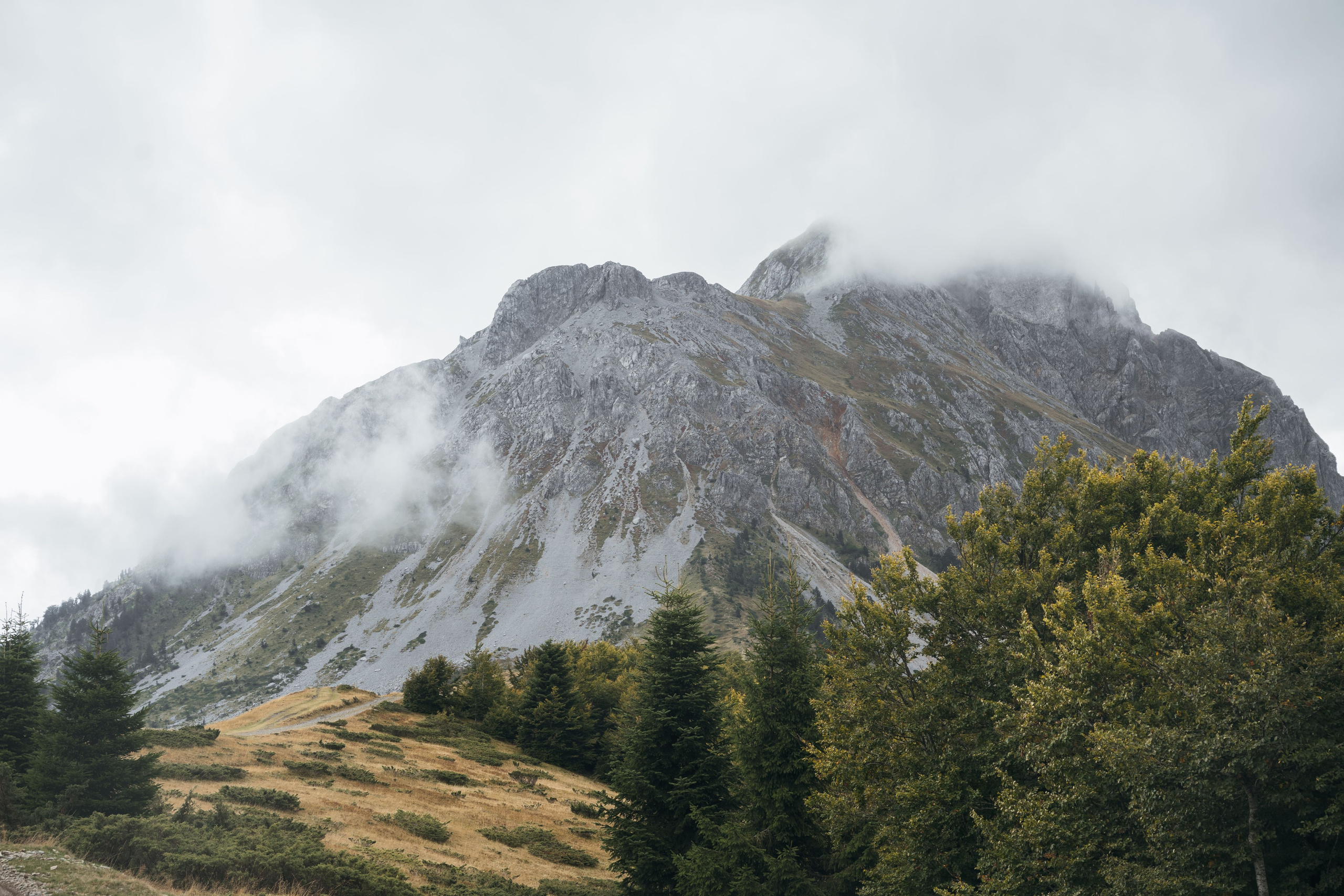 ГОРЫ КОМОВИ. ЧЕРНОГОРИЯ. Фотограф в Белграде Чугреева Елена