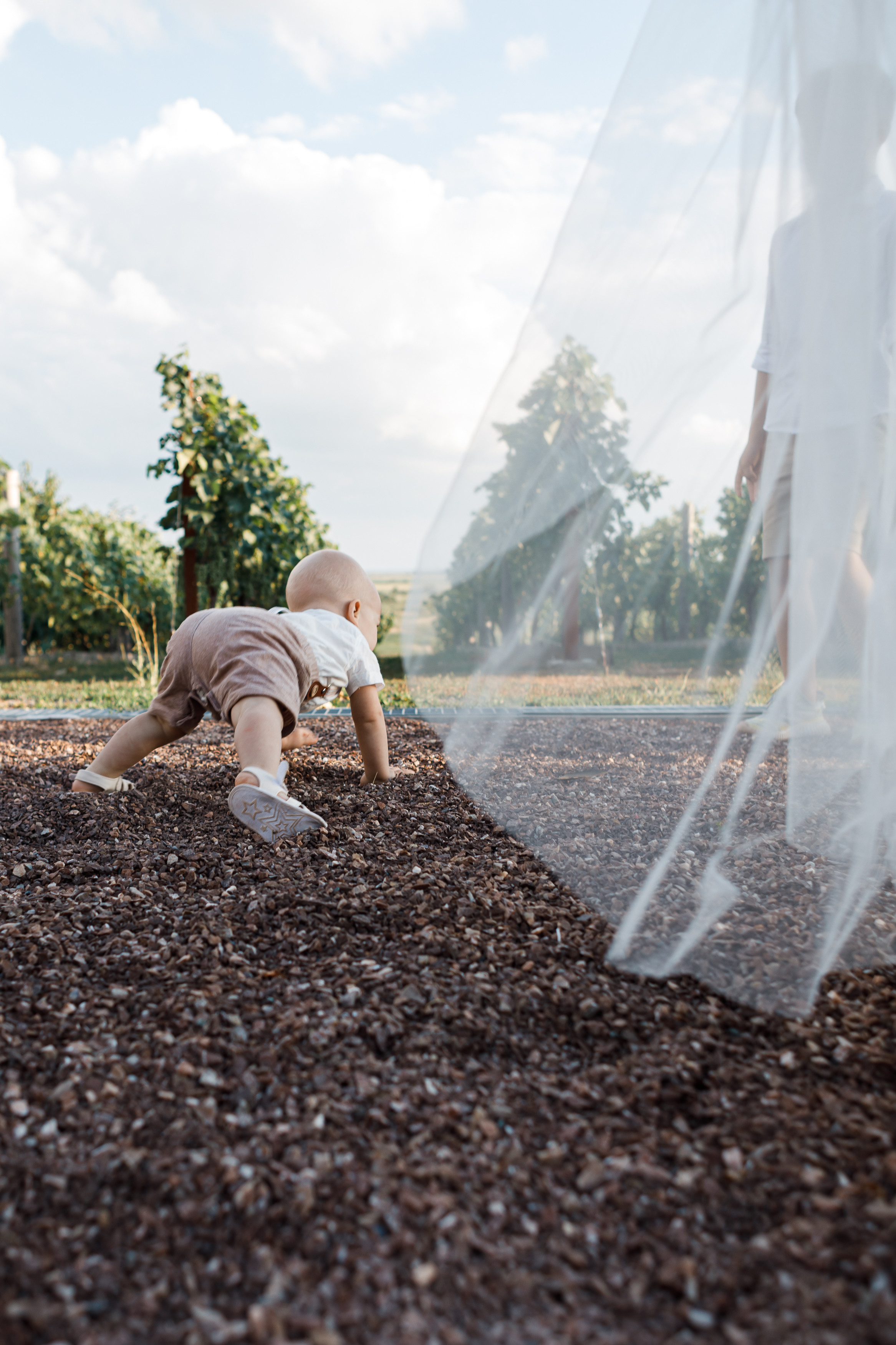 Антон и Мария. Свадебный и семейный фотограф в Ростове-на-Дону Анастасия Арестова