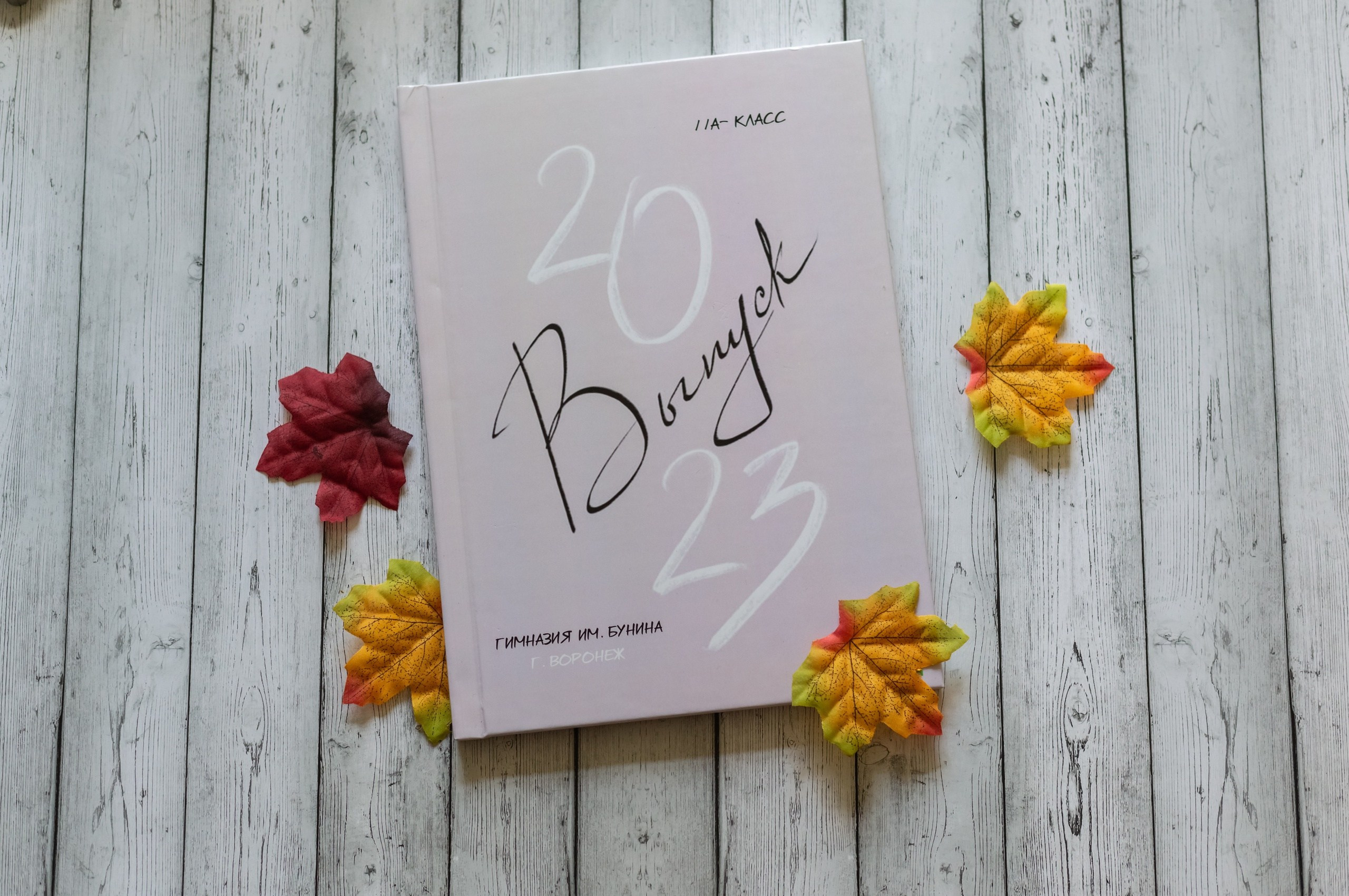 Варианты обложек. Выпускные альбомы Воронеж от Веры Соколовой